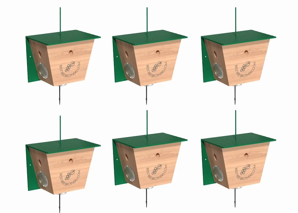 Turbo Trap 2.0 with Bee Vault 6 Pack for Carpenter Bees by Best Bee Brothers