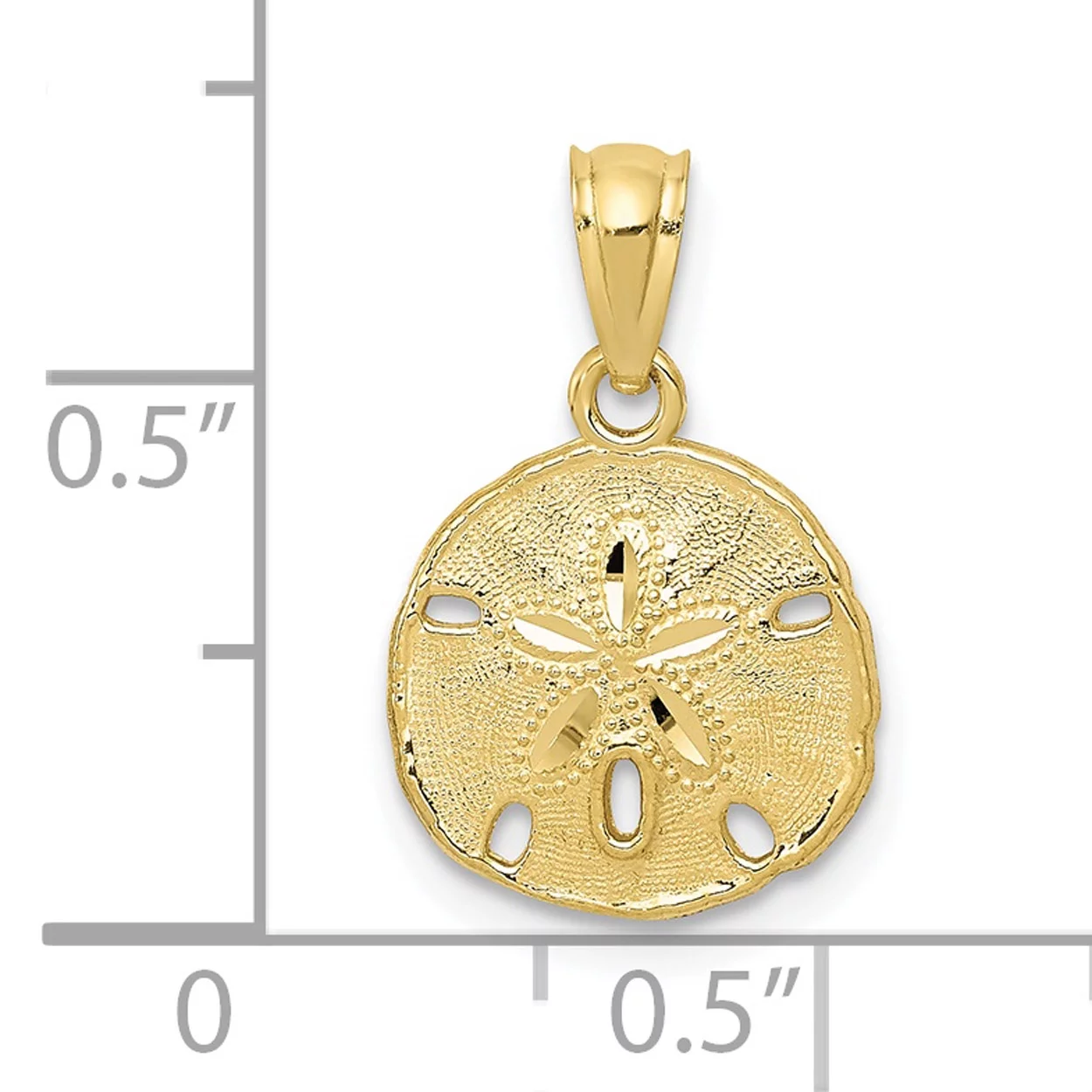 Carat in Karats 10K Yellow Gold Polished & Textured Sand Dollar Pendant Charm With 14K Yellow Gold Lightweight Rope Chain Necklace 20''