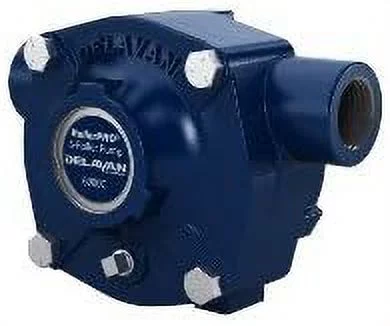 Delavan 6900C 19.6 GPM 300 PSI Cast Iron C Extra-Fine Finish Shaft 6- Water Pump With 5/16-Inch Mounting Base