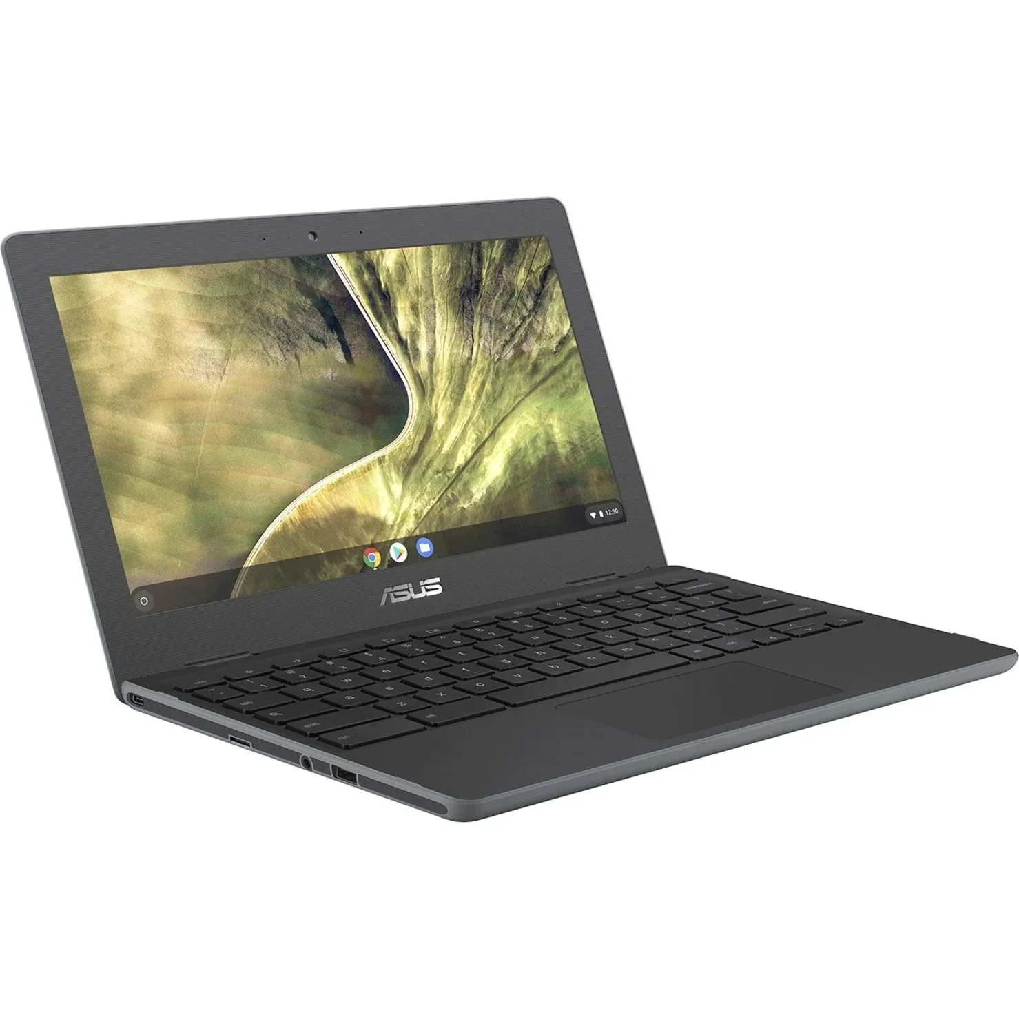 Restored Asus Chromebook C204MA-YB02 - 11.6