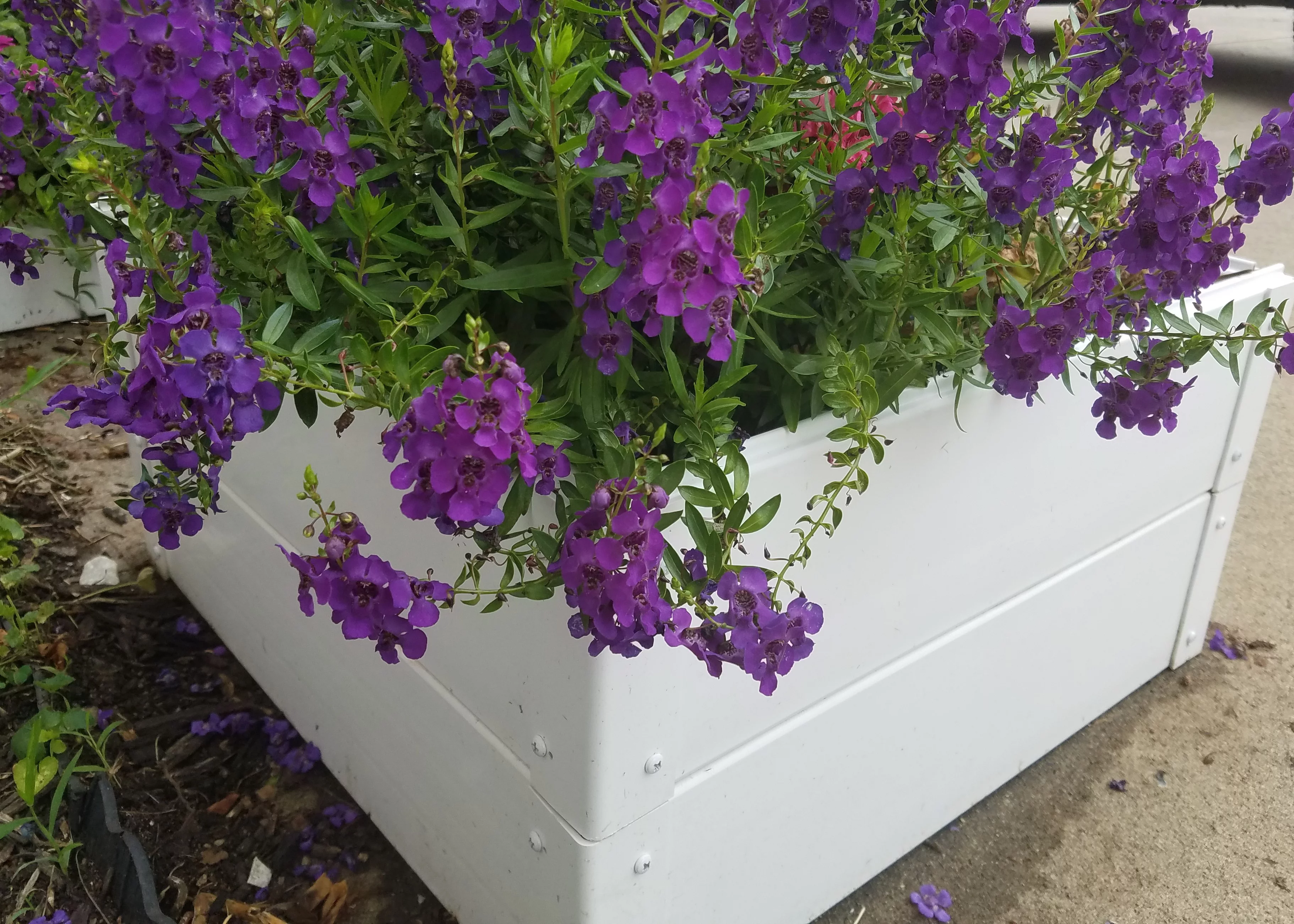 Handy Bed  3 x 3 ft. Vinyl Raised Garden Bed, White