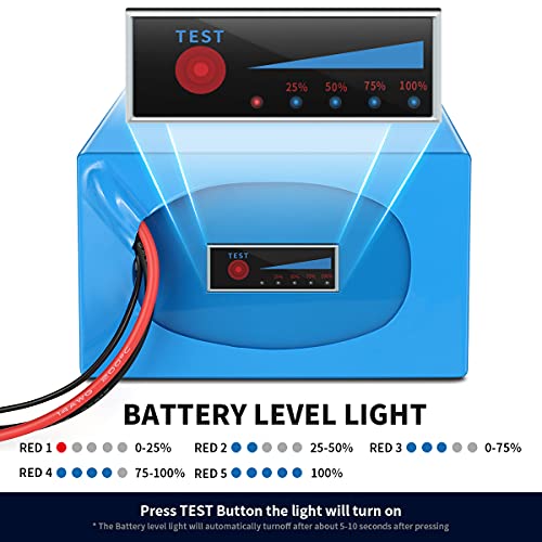 H HAILONG 48v 36v Lithium Battery/36V Ebike Battery, ebike Battery 10AH 14AH 20AH 25AH with 2A Charger, T-Plug, XT60 Connector and 20A BMS for 250W-800W Ebike Battery/Ebike Kit
