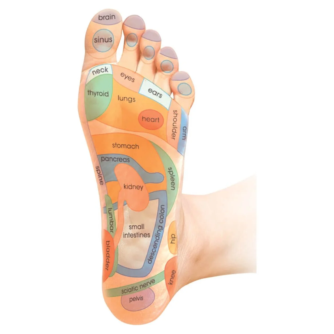 Massaging Comfort Slides, Waterproof Slip On Sandals, Black/Gray, Mens Size 10