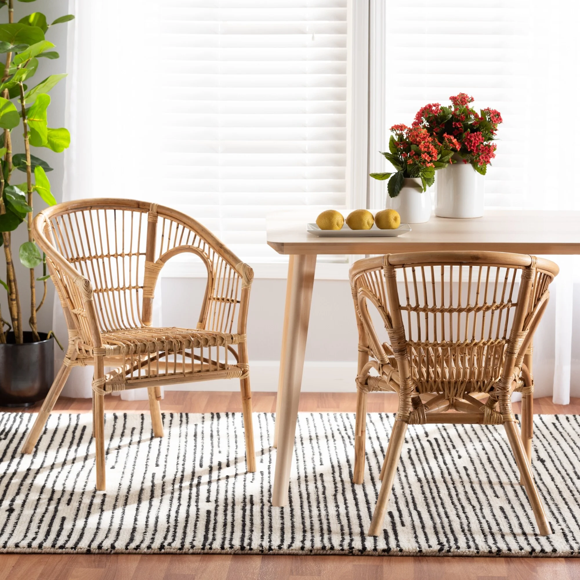 bali & pari Alleta Modern Bohemian Natural Brown Rattan 2-Piece Dining Chair Set