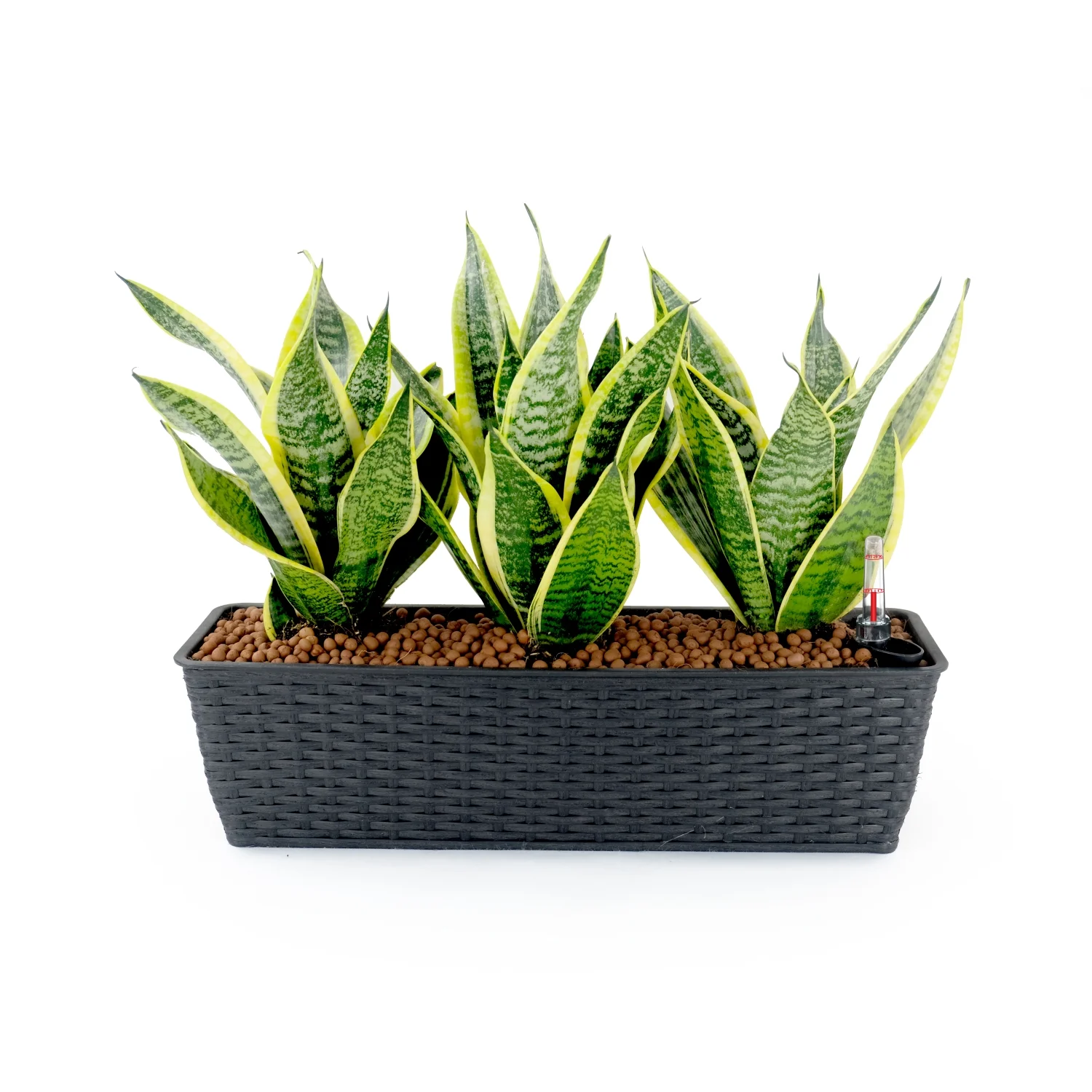 YLtoohoom 2-Pack Smart Self-watering Rectangle Planter for Indoor and Outdoor -  Woven Wicker - Espresso