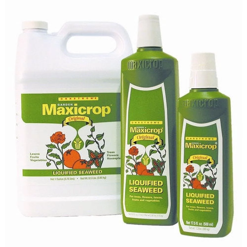 Maxicrop Liquid Seaweed, 1 gal