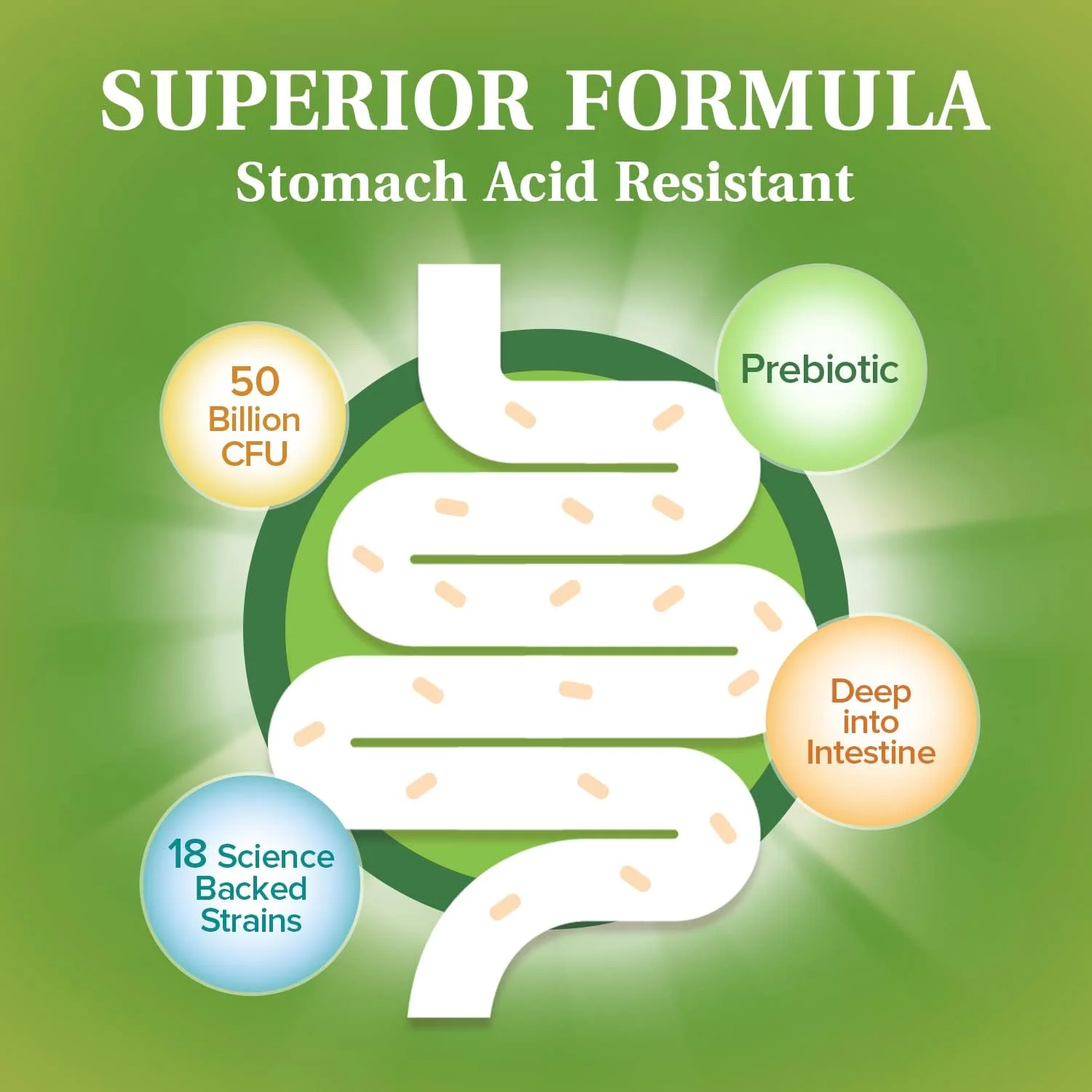 NatureMyst Probiotics 50 Billion per Serving, 18 Probiotic Strains, 60 Veggie Capsules - Non-GMO, Gluten Free