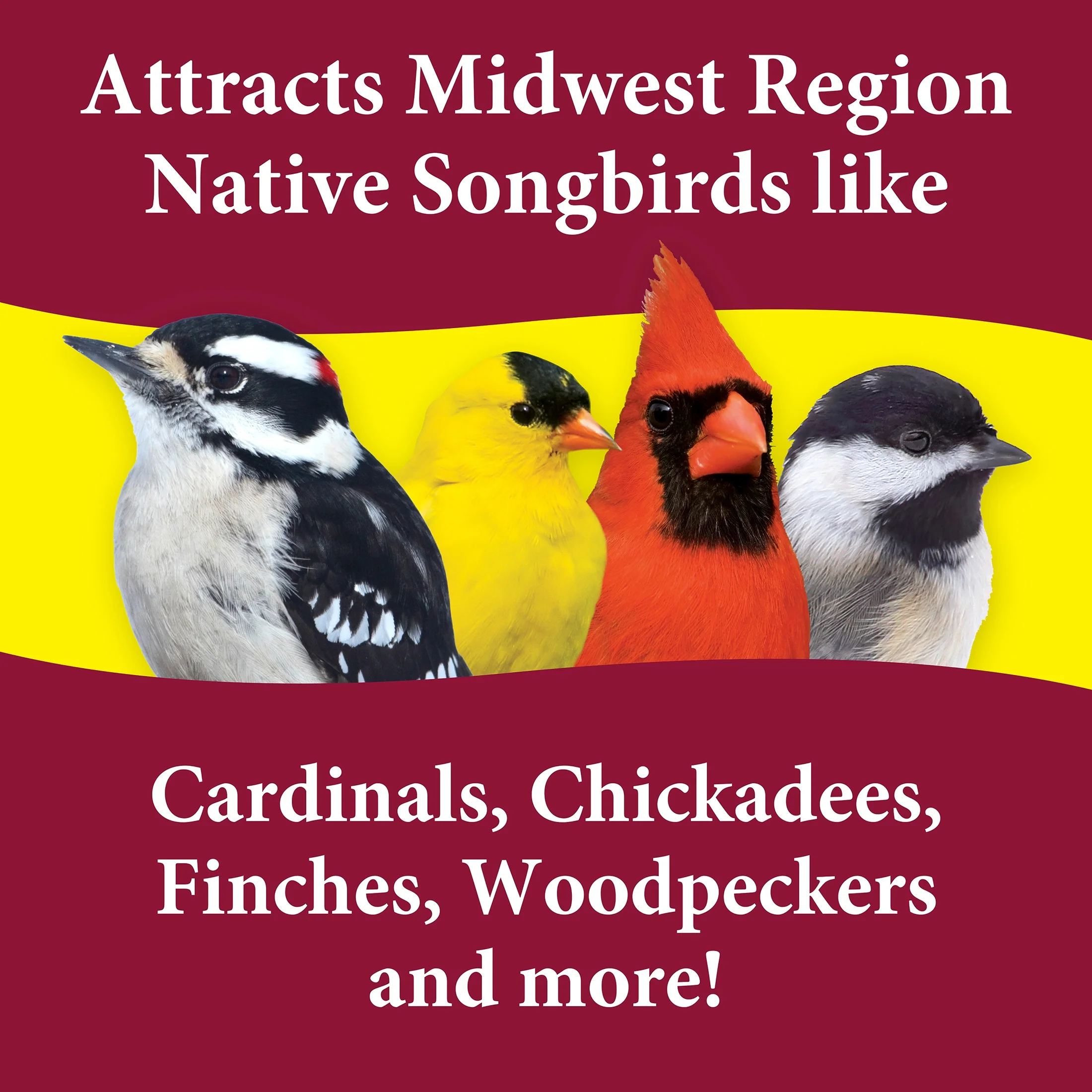 3-D Pet Products Ultra Premium Midwest Region Blend Dry Wild Bird Food, 5 lb. 1 Pack,