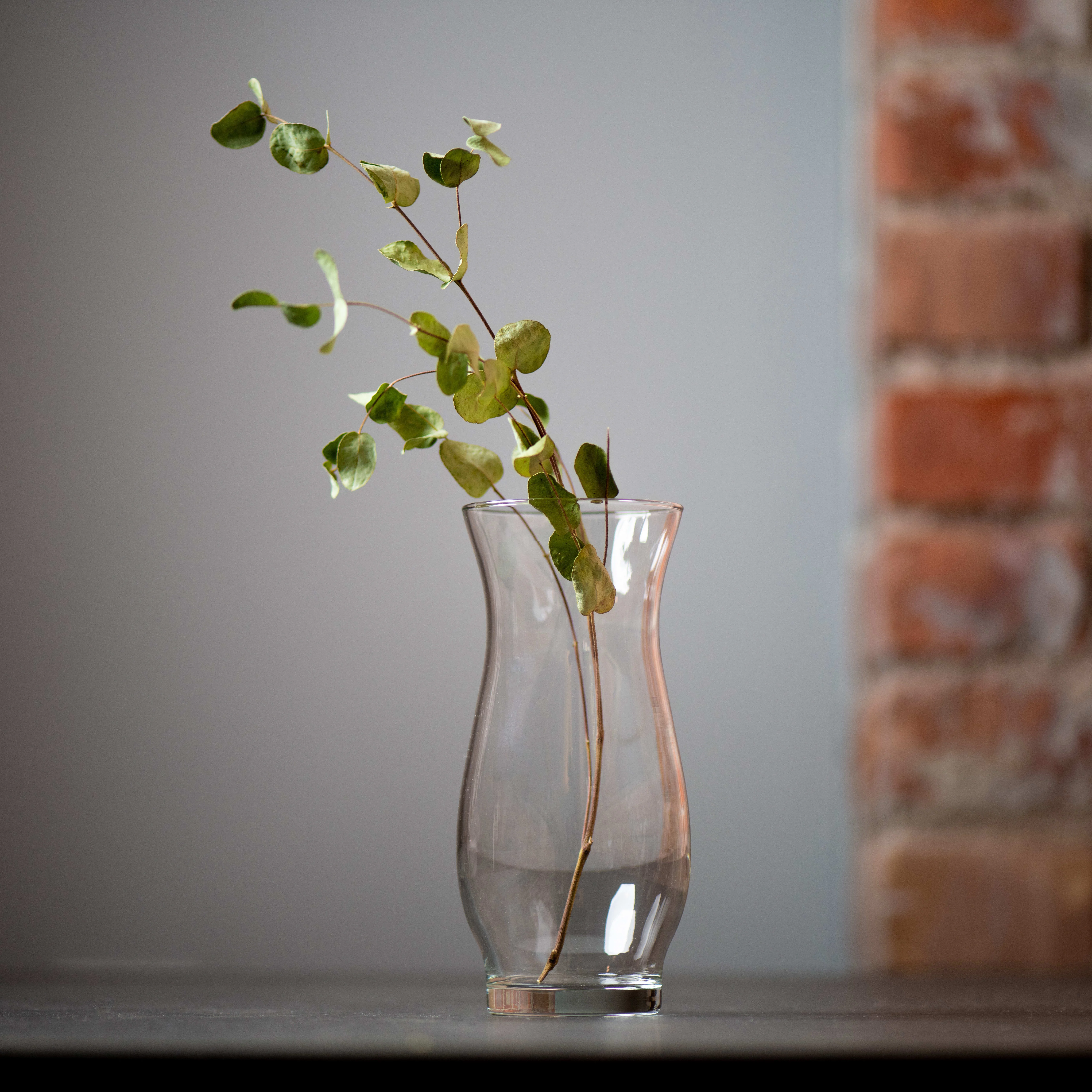 Libbey Hana Glass Vase, 8.5-inch, Set of 4