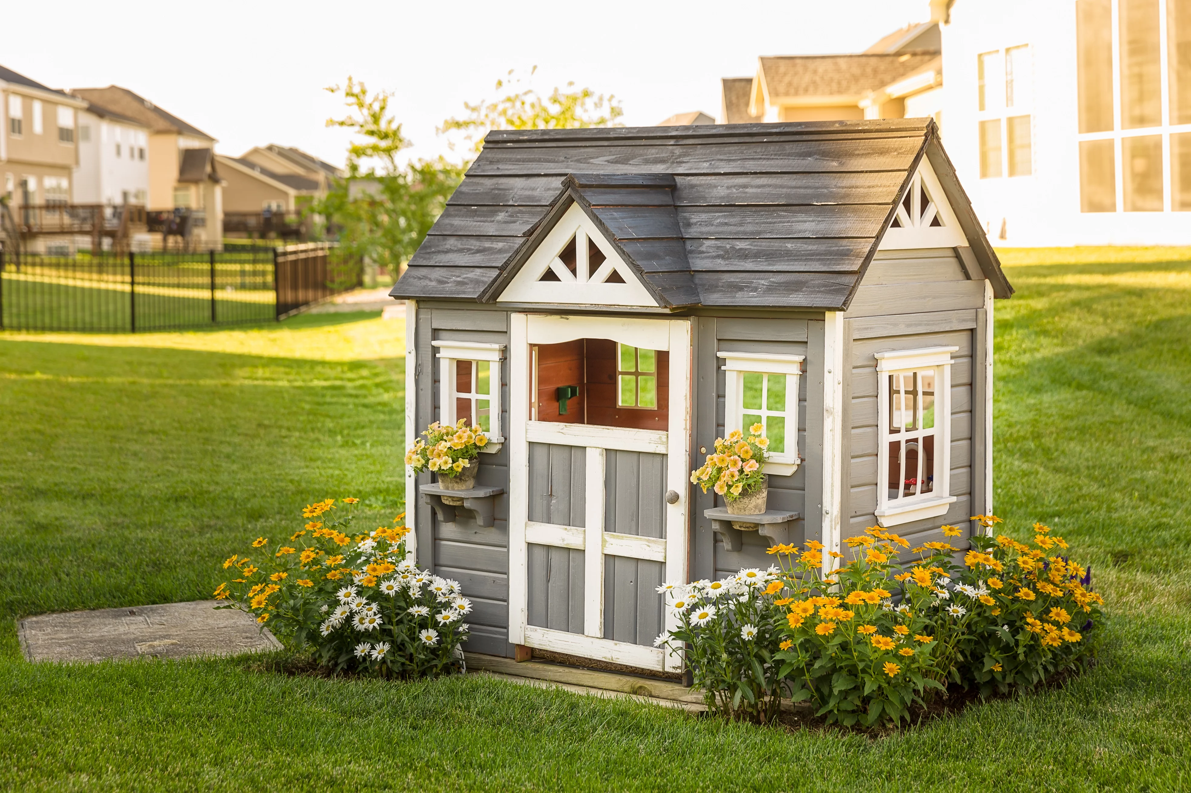 4.5 in. Qt Amazing Daisies Banana Cream Shasta Daisy (Leucanthemum) Live Plant, Yellow Flowers