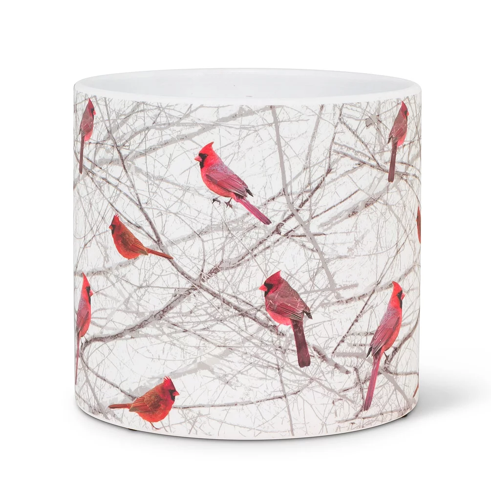 Large Cardinals in Bush Planter