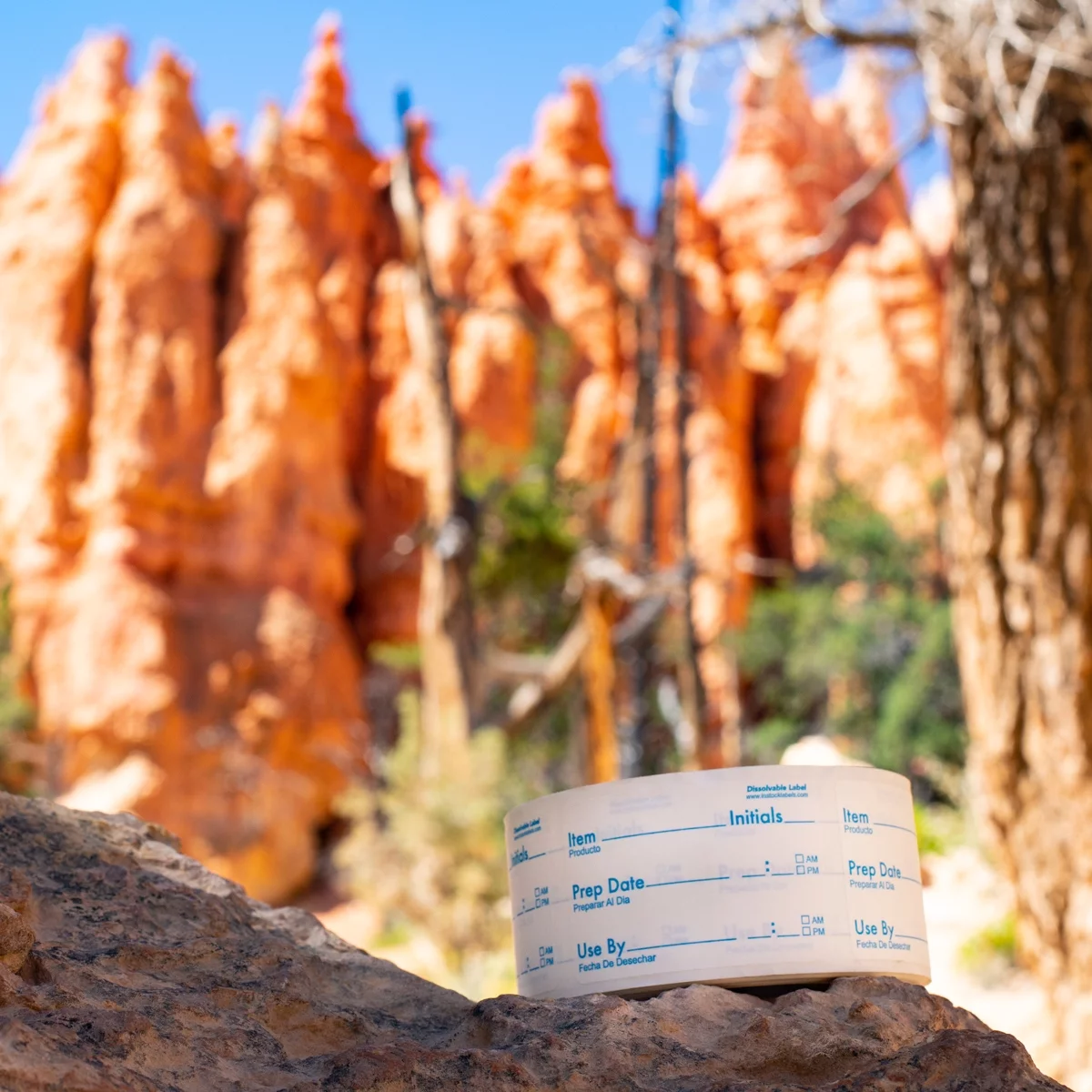 Dissolvable Blue Food Rotation Labels for Food Storage Use by Shelf Life Preparation 2 x 3 Inch 500 Adhesive Stickers