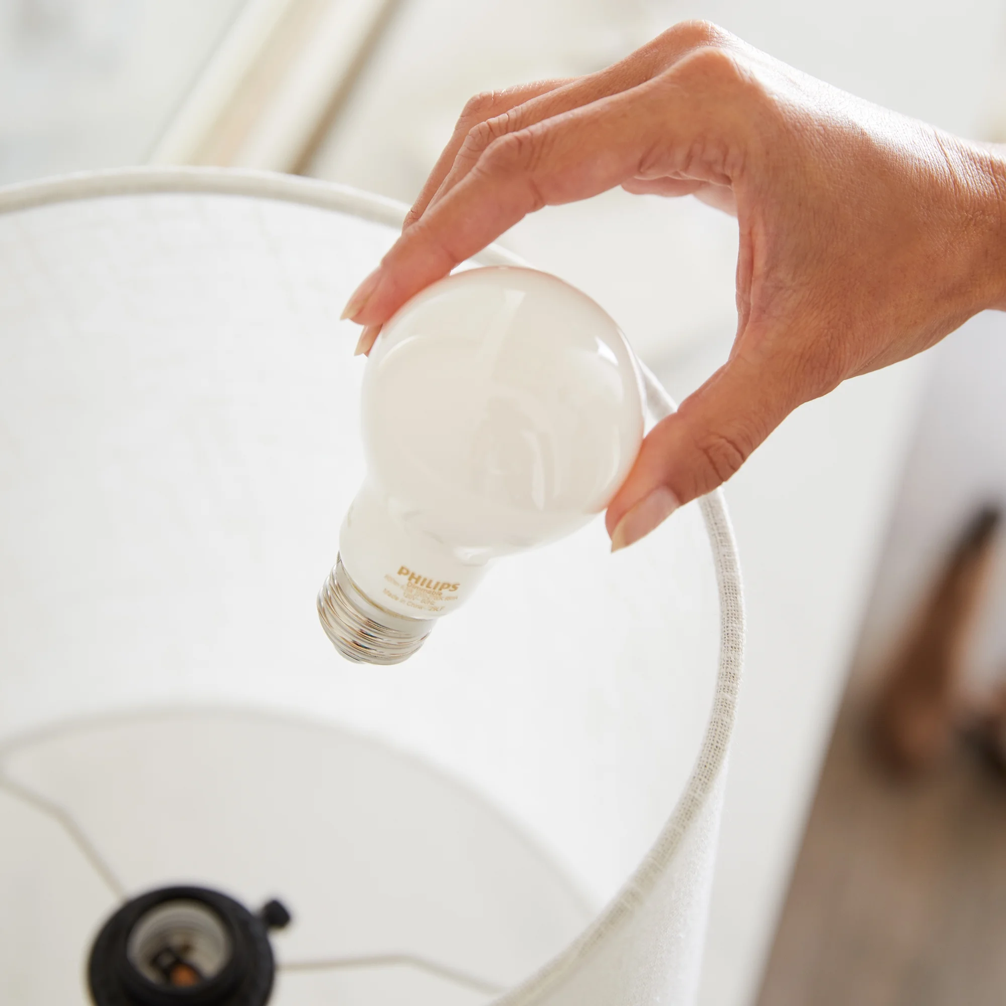 Philips LED 100-Watt A19 General Purpose Light Bulb, Frosted Daylight, Dimmable, E26 Medium Base (2-Pack)