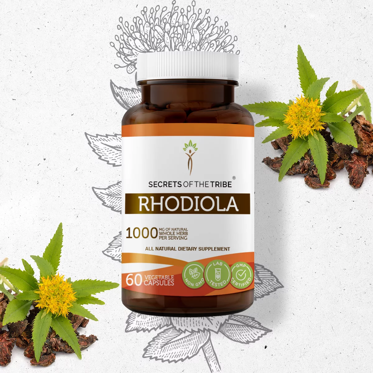 Secrets of the Tribe Rhodiola 60 Capsules, 500 mg, Organic Rhodiola (Rhodiola Rosea) Dried Root