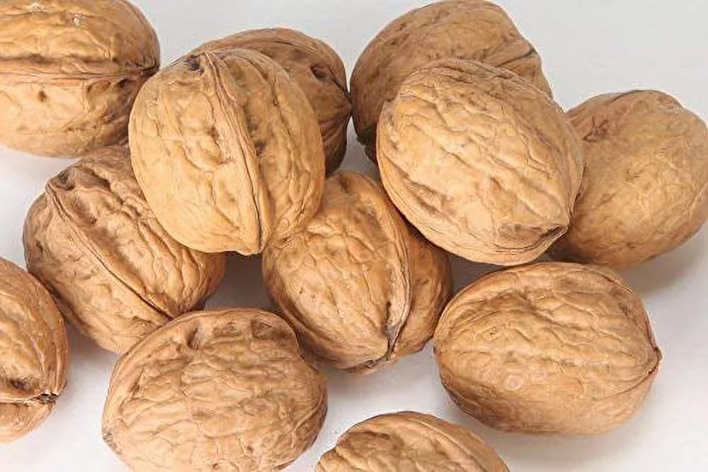Walnuts In-shell (Whole) (5 LB)