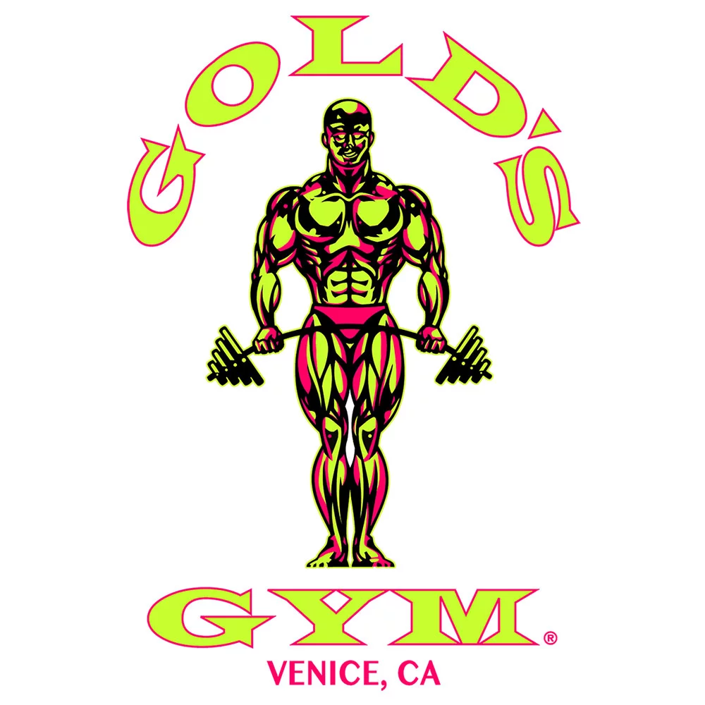 Tee Luv Men's Gold's Gym Long Sleeve Hooded Shirt (M)