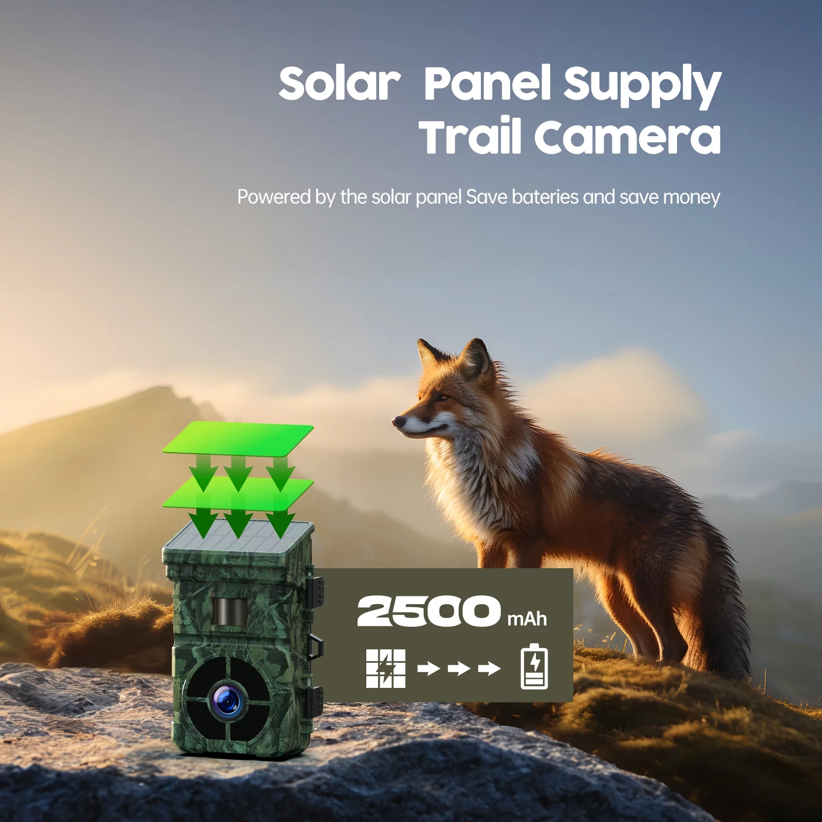 CAMPARK Solar Powered Trail Camera with SD Card 24MP 1080P 2500mAh Built-in Lithium Battery Rechargeable Game Wildlife Hunting Camera with Waterpoof IP66 Night Vision 0.1s Motion Activated-No WIFI