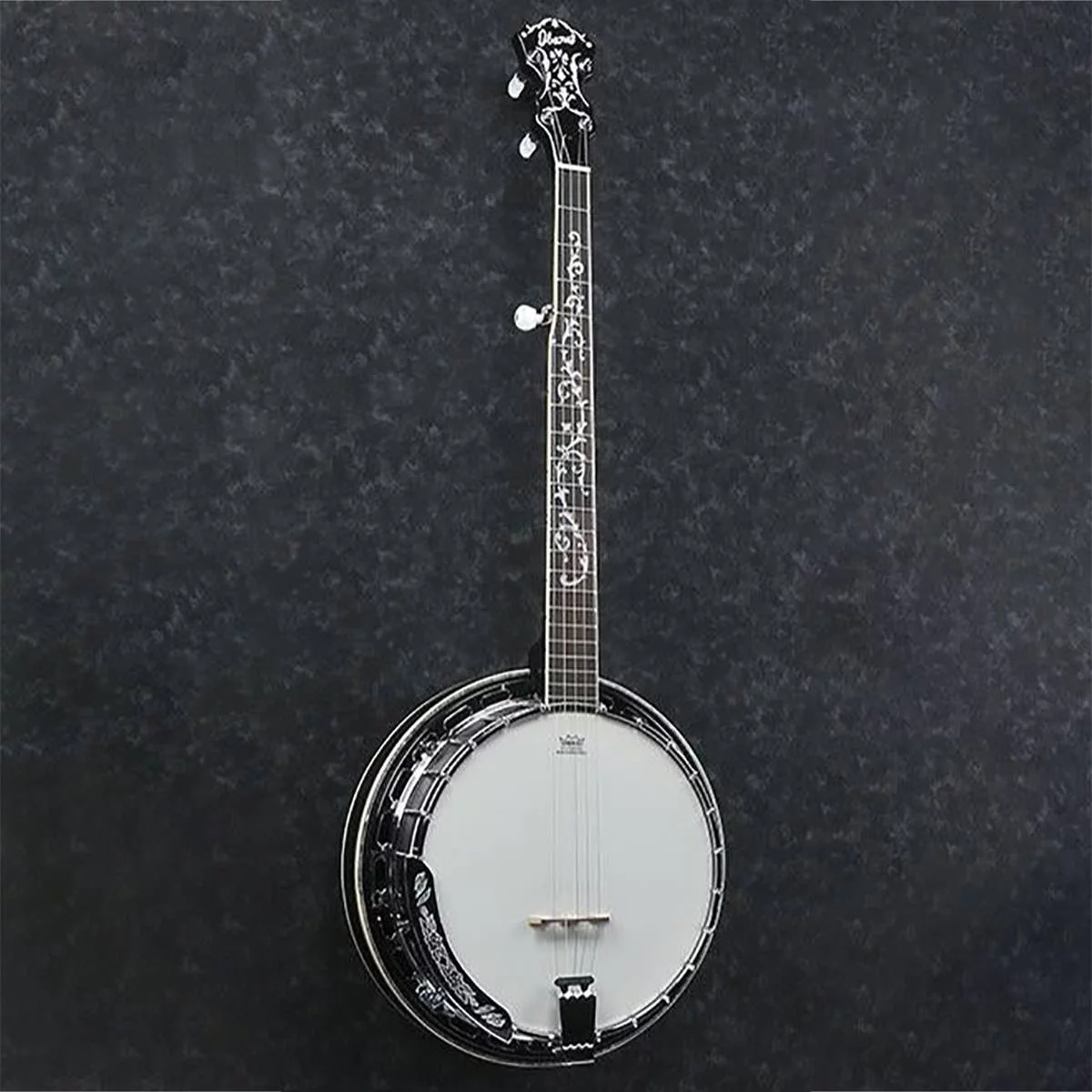 Ibanez B300 5-String Banjo