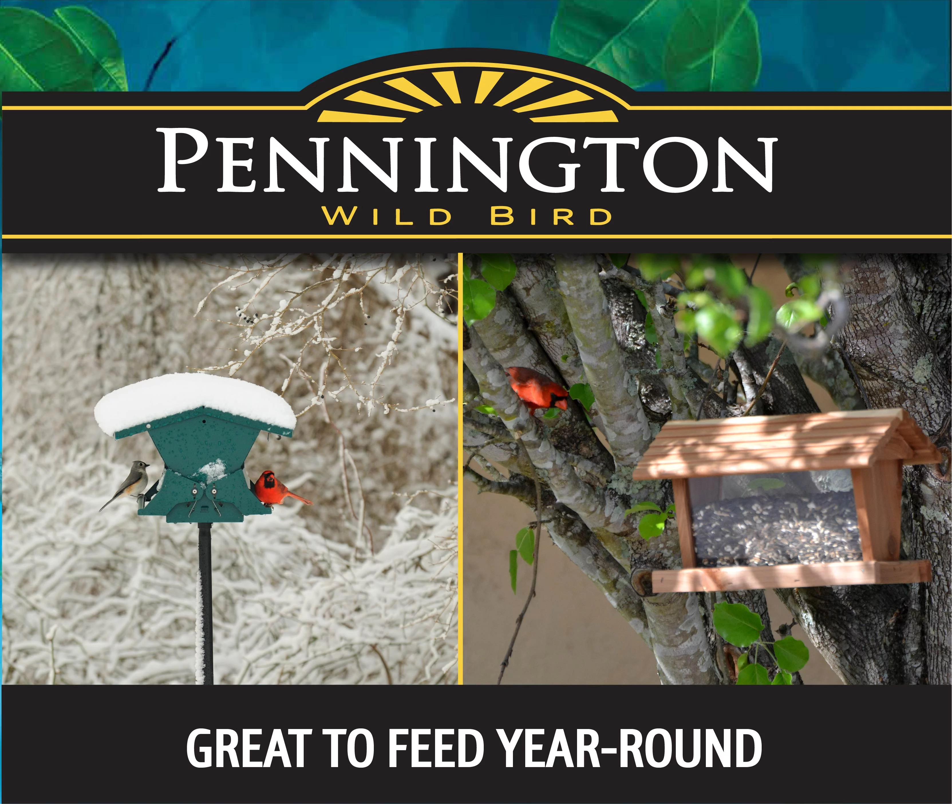 Pennington Premium Select Blend Dry Wild Bird Feed and Seed, 20 lb., 1 Pack