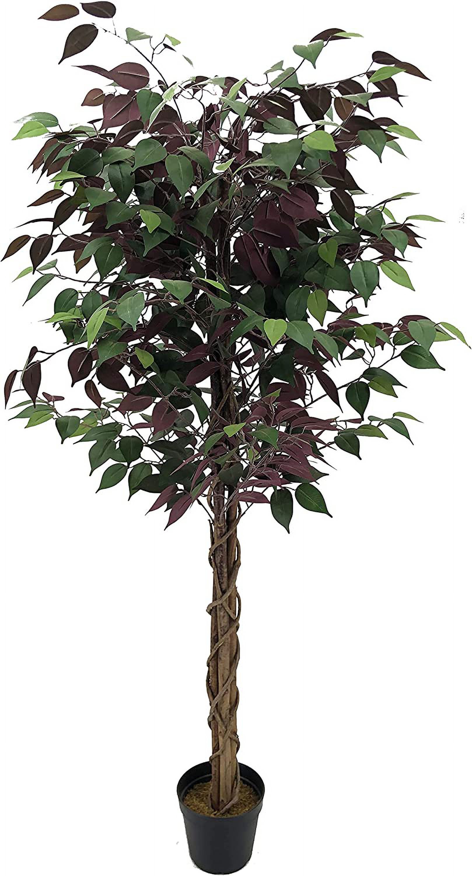 HYUN Pack of 2 Gorgeous 5 Feet Burgundy Ficus Capensia Tree Artificial Silk Plant with Nursery Pots, Super Quality, Green and Burgundy