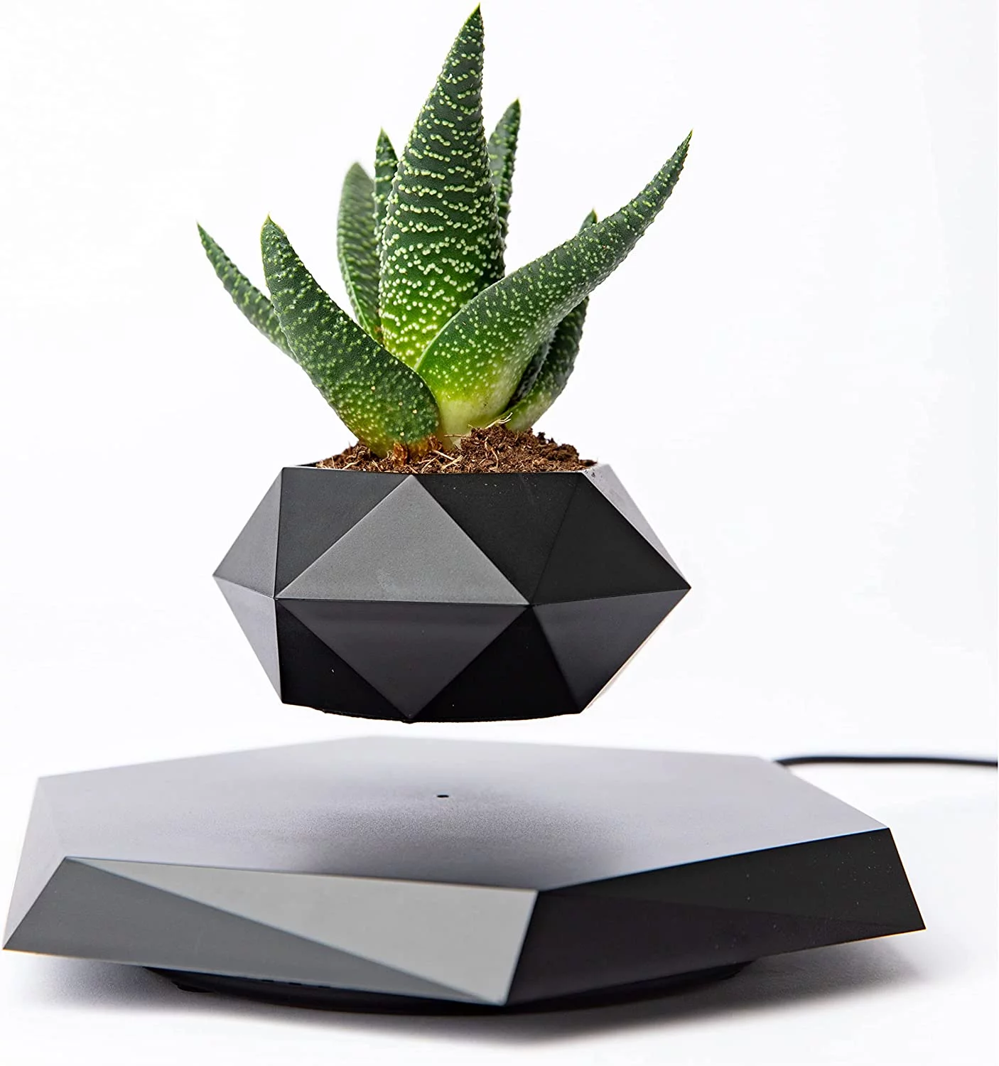 BandD Levitating Plant Pot - Floating Plant Pot for Small Plants. Levitating Decor for Home & Office Magnetic Floating Levitating Display (Black)