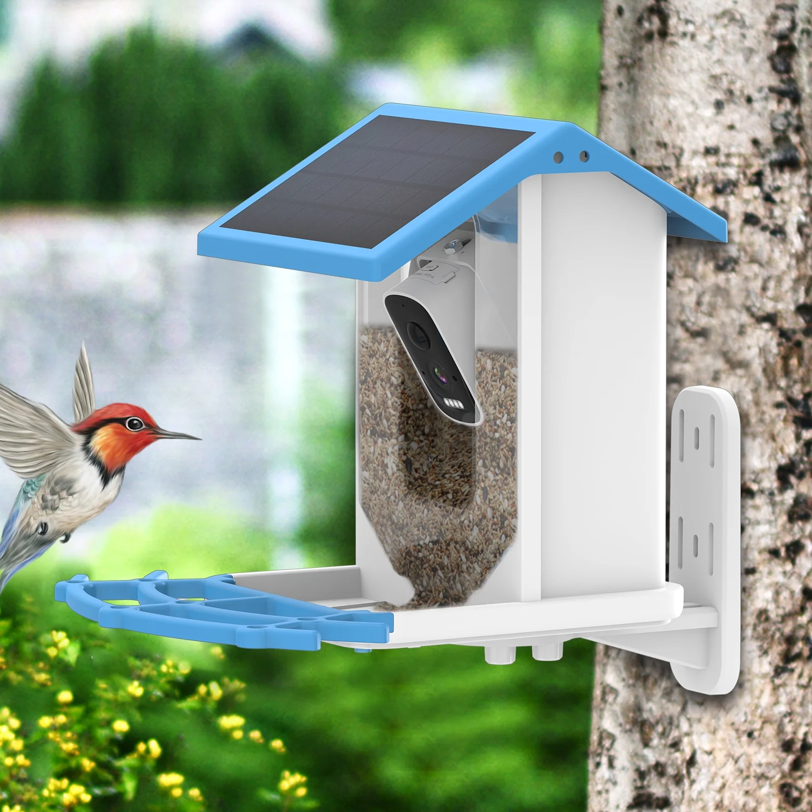 camera,Low Real Auto Capture Videos Solar Camera Ip66 Waterproof Feeder With Camera 1080p Vision Camera Feeder Solar Camera 1080p Solar Powered 1080p Videos Low