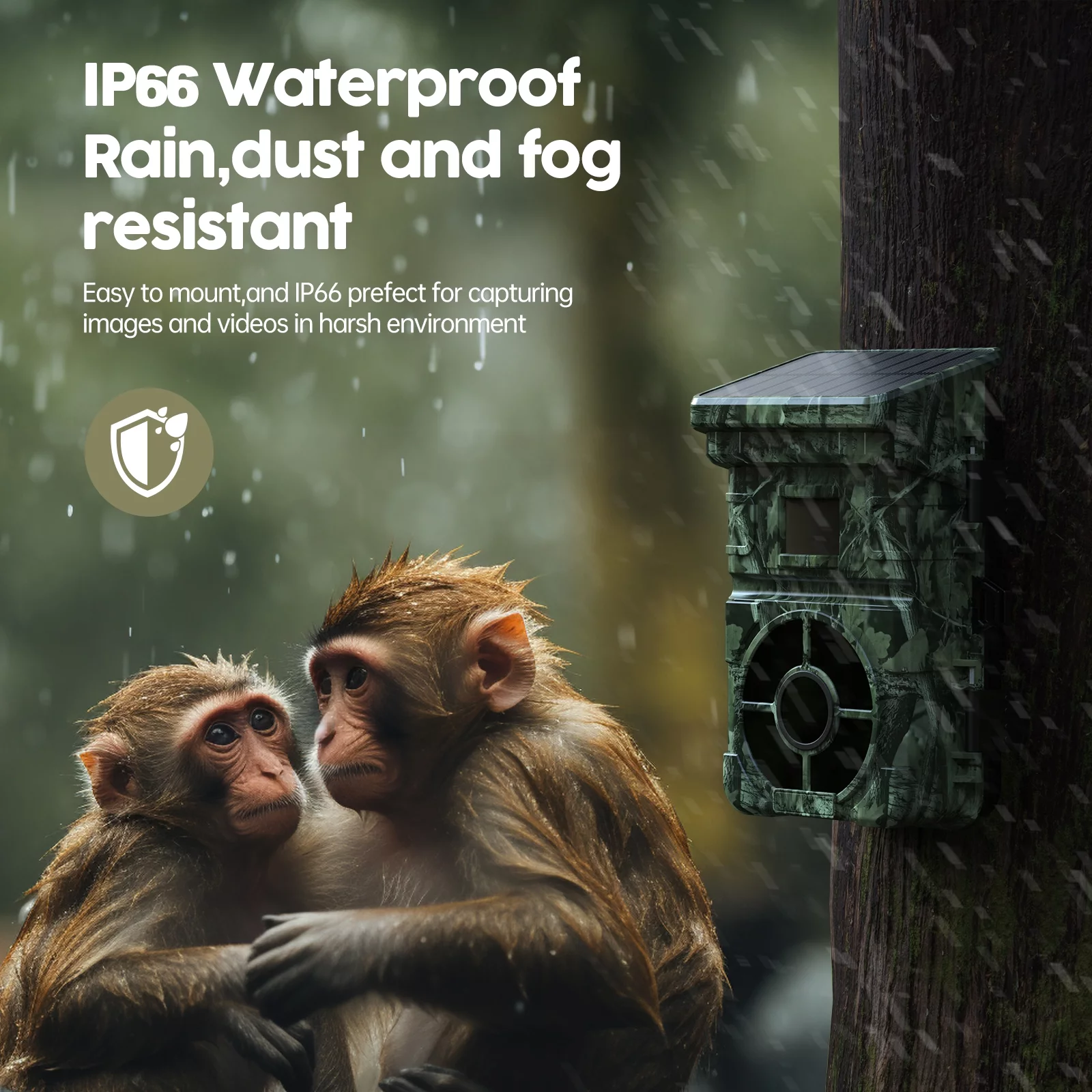 CAMPARK Solar Powered Trail Camera with SD Card 24MP 1080P 2500mAh Built-in Lithium Battery Rechargeable Game Wildlife Hunting Camera with Waterpoof IP66 Night Vision 0.1s Motion Activated-No WIFI