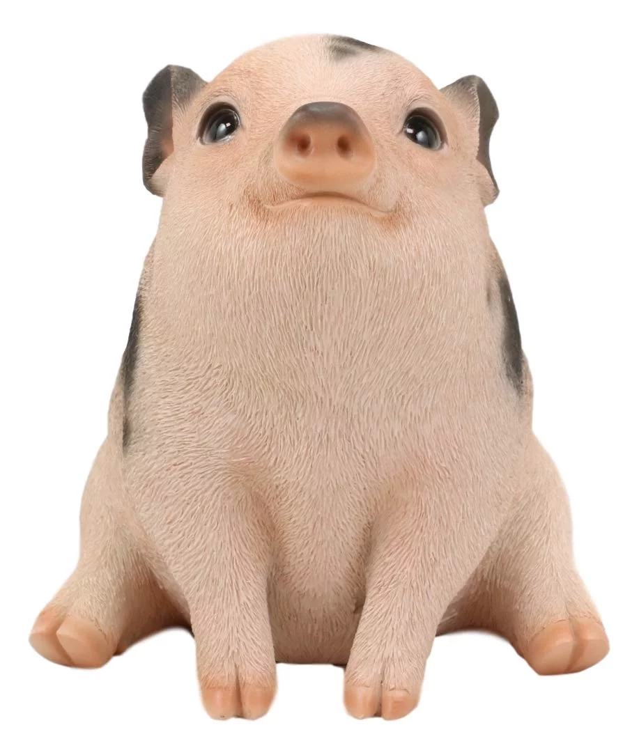 Ebros Napoleon Fat Piglet Pig Statue 6
