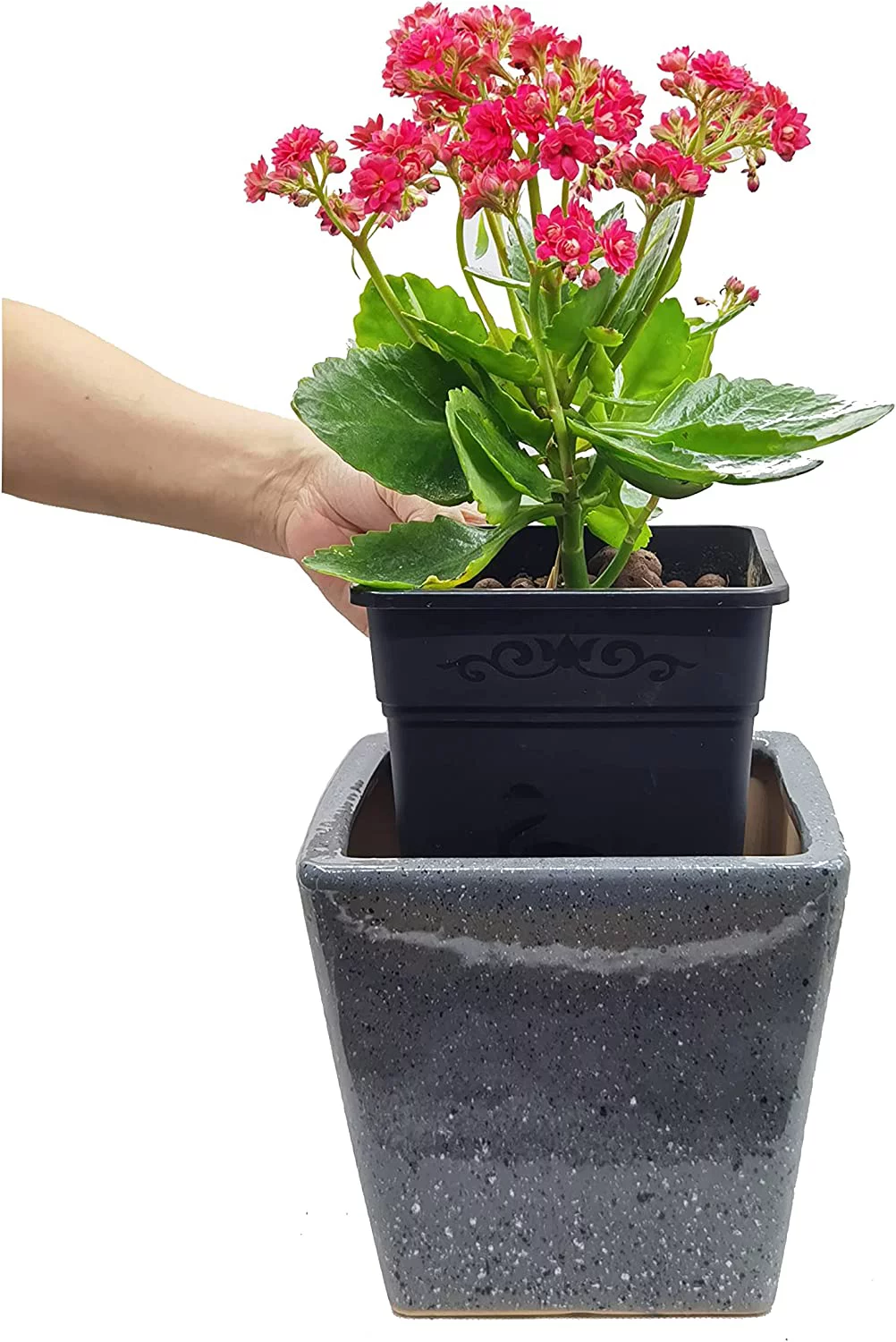 Cotta Planters 1 Gallon Square Nursery Pots 30-Pack 5.5 inch Bulk Plastic Planters Garden supplies
