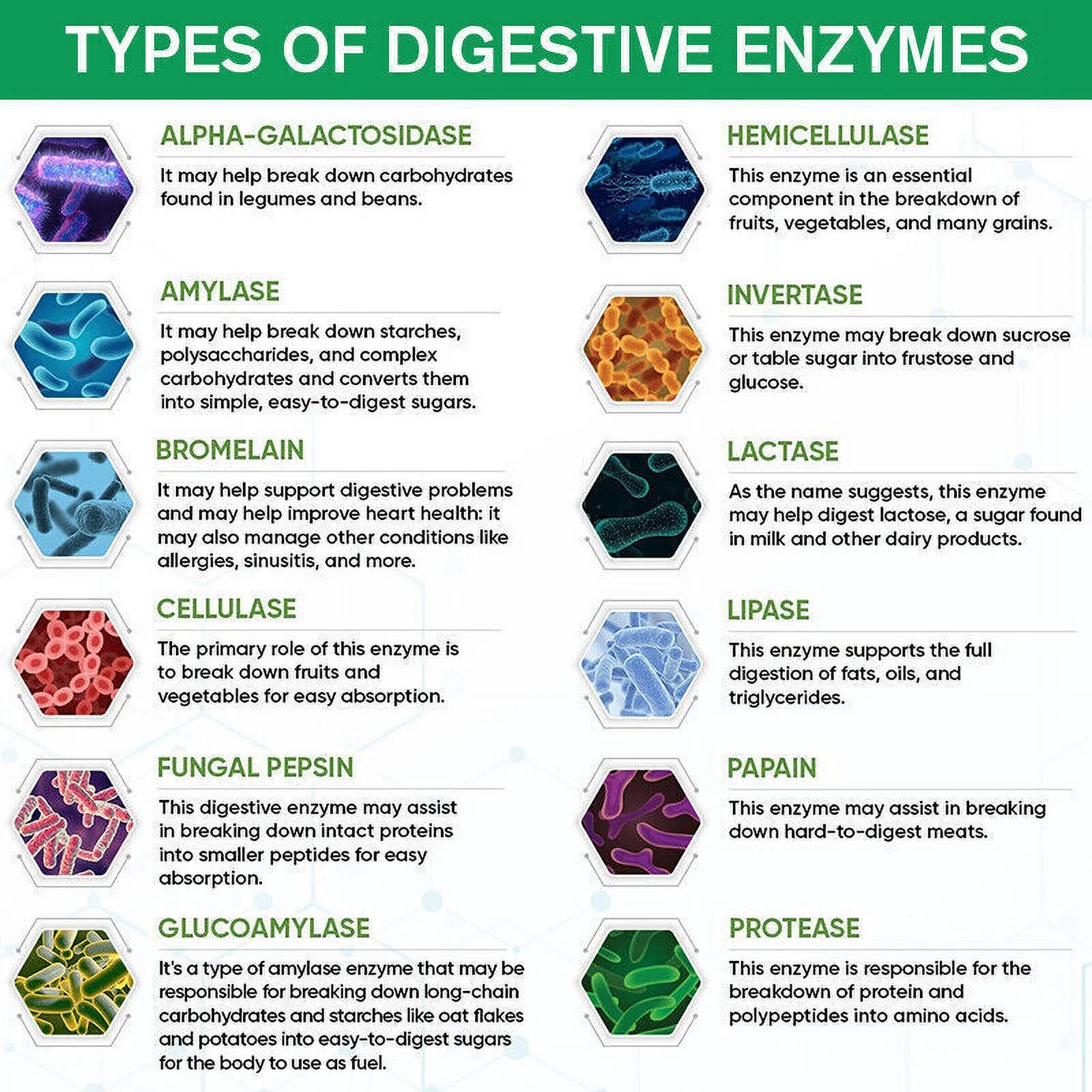 Digestive Enzymes w/ Prebiotic & Probiotics, Gas, Constipation & Bloating Relief - 60 Capsules