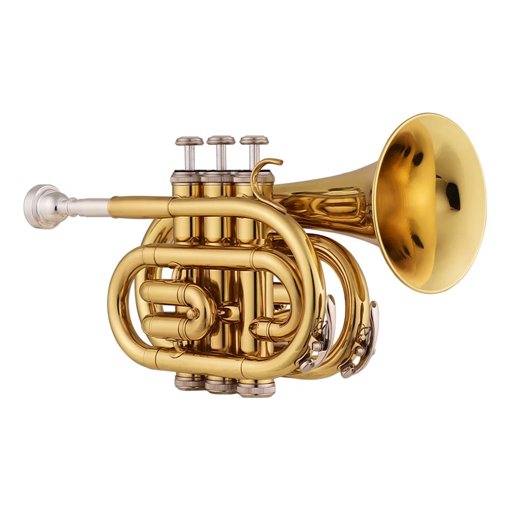 Tomshoo Trumpet Bb Flat Brass Pocket Wind Instrument with Mouthpiece Gloves Cleaning Cloth Carrying Case