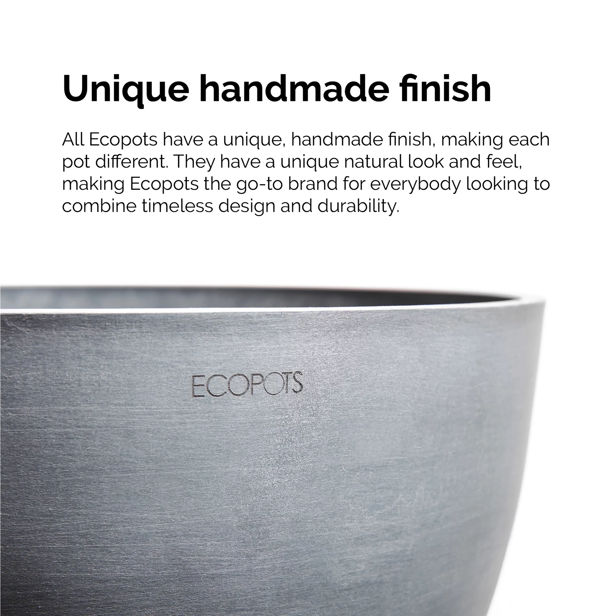 United Nursery Live Ficus Retusa Houseplant 12-14in Tall in 6 inch Premium Ecopots Pure White