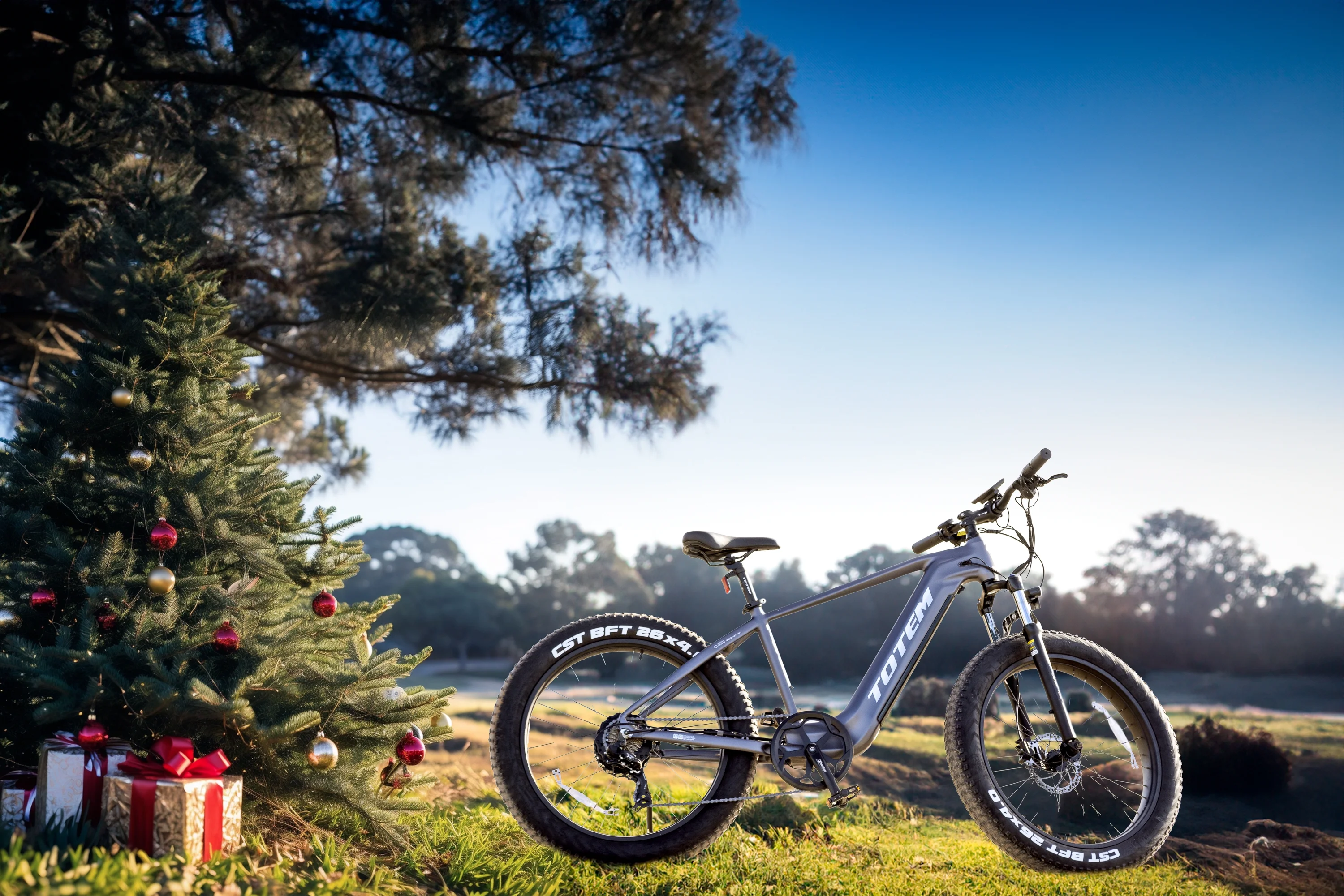 TOTEM Bulldog Fat Tire Adult Electric Bike, 26