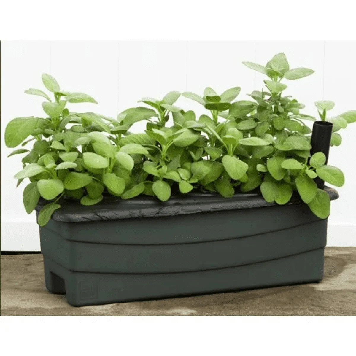 80651 Earthbox Junior Organic Garden Kit, Green