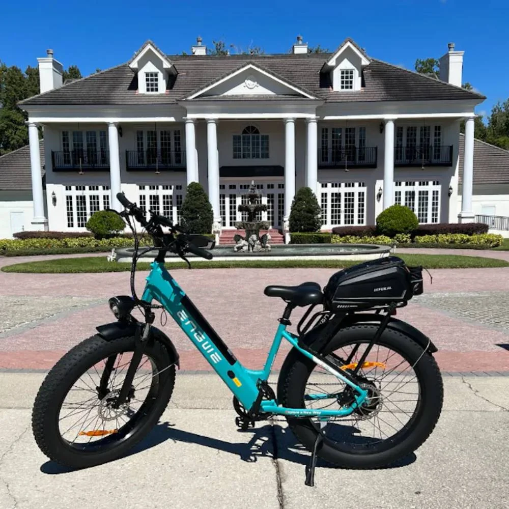 ENGWE Electric Bike 26 Inch Fat Tire e-Bike 750W 48V 16Ah Battery 28Mph Pedal Assist Electric Bicycle 7 Speed E26 ST - Black