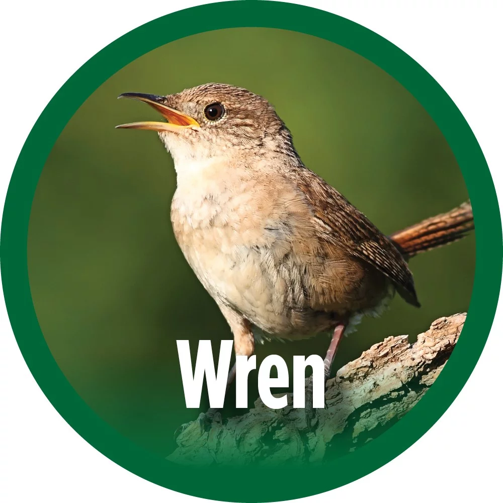 Wild Wings Farmhouse Cedar Bluebird House, White