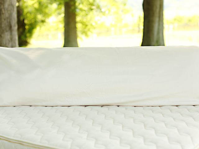 Organic Shredded Latex Body Pillow