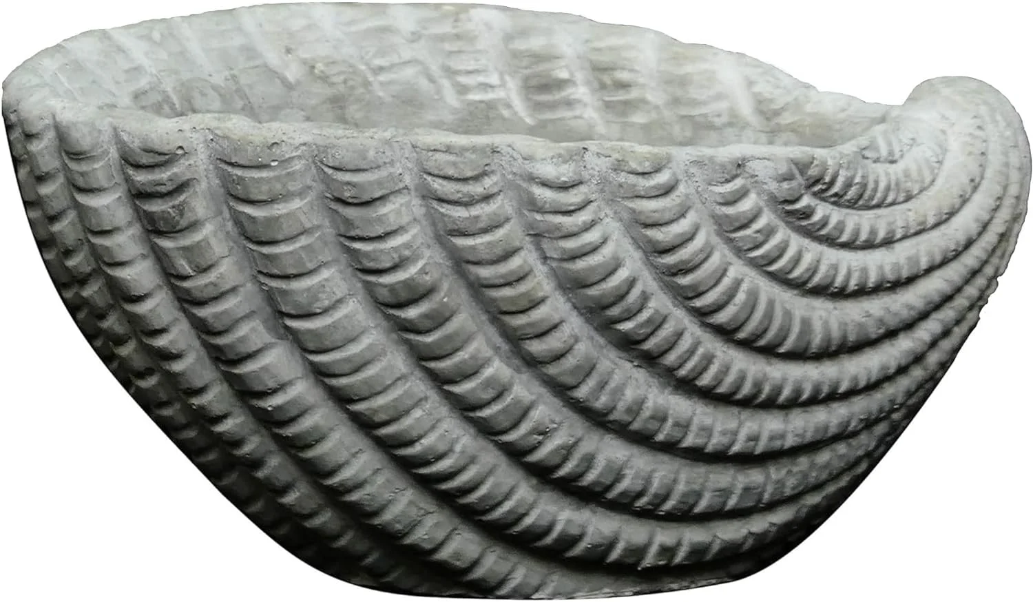 Indoor Outdoor Cement Succulent Sea Shell Planter, Gray, 5