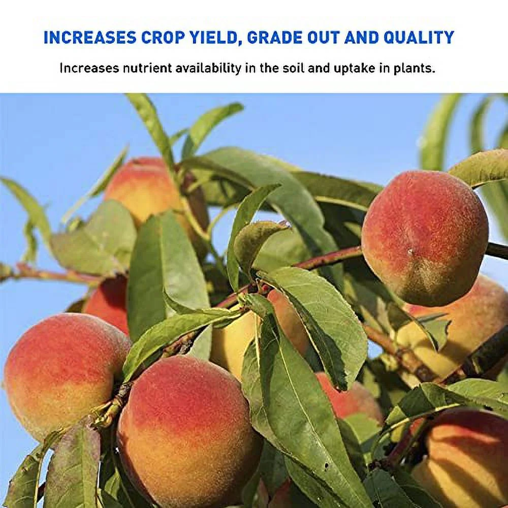 Organic Micronized Trace 0-0.2 Fertilizer Bulk Bag of 67 Essential Minerals OMRI Certified, 20 Lbs