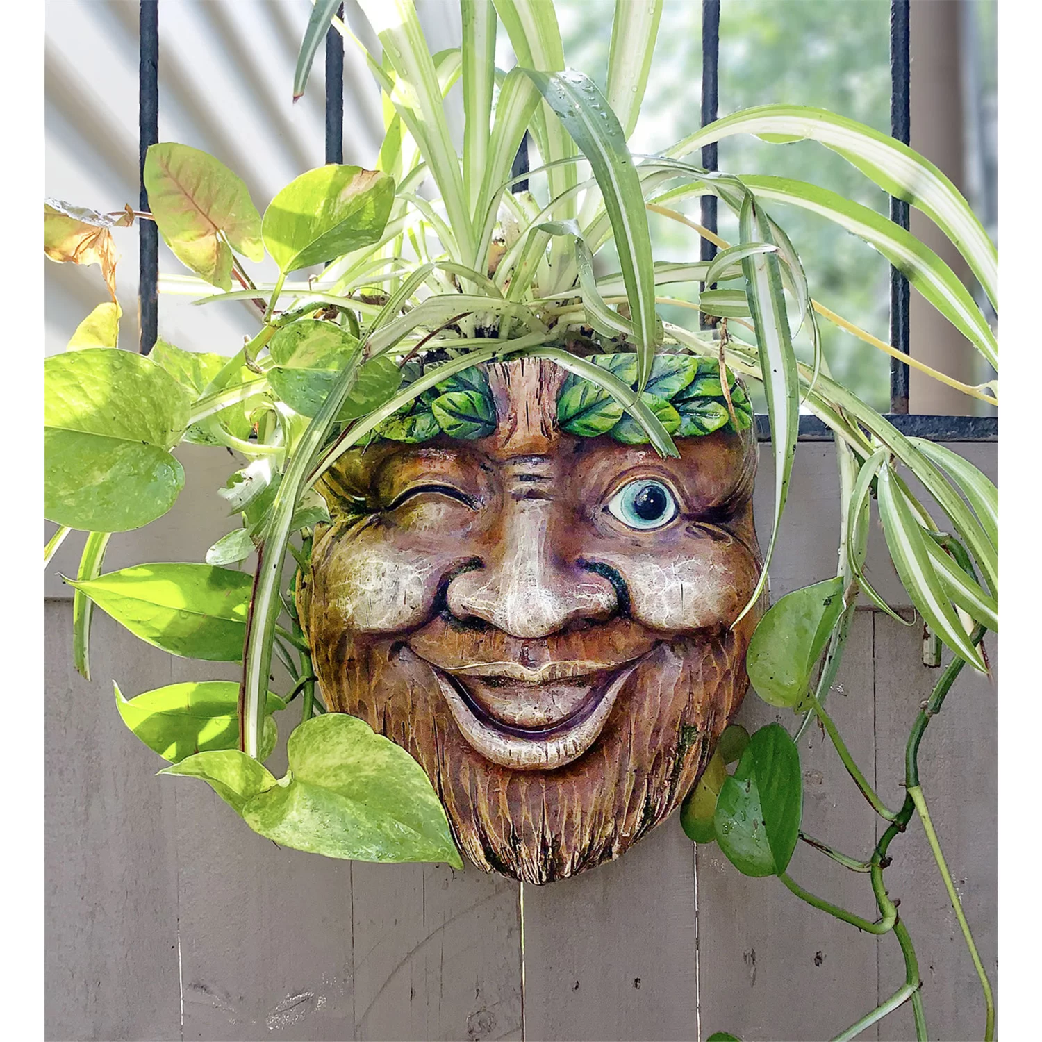 Red Carpet Studios Planter Tree Face Wink