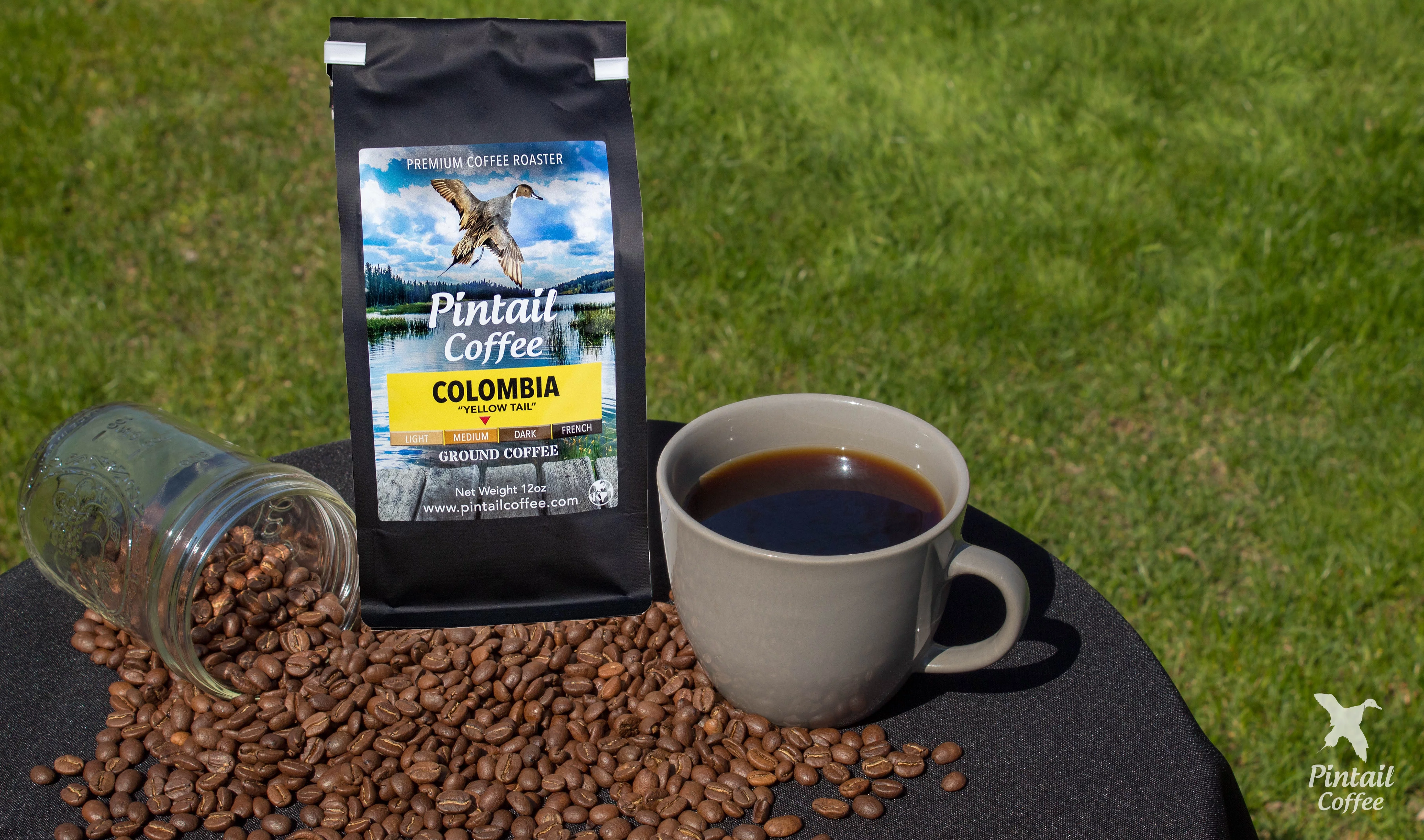 Pintail Coffee 100% Colombian 