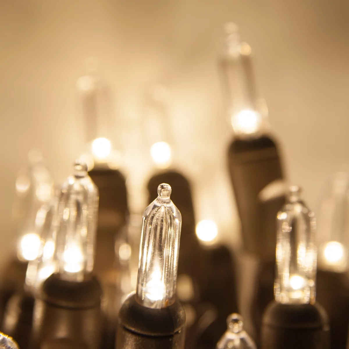 Wintergreen Lighting T5 LED Mini Lights Brown Wire Christmas Lights, Brown Wired Clear Mini Lights, LED Christmas Lights, 50 Lights