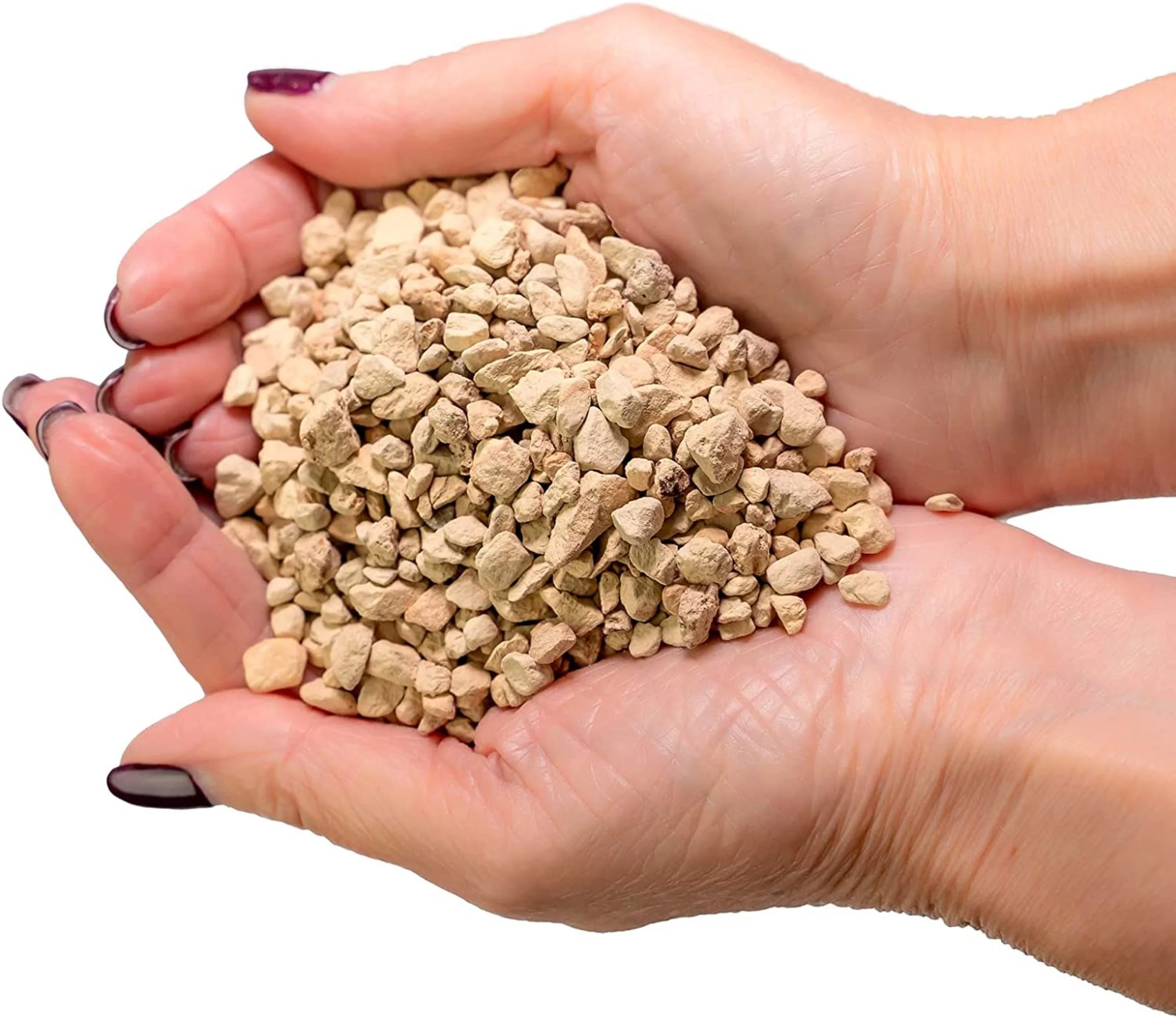 GARDENERA Diatomaceous Earth (Diatomite) Soil Additive | Aids Drainage | Creates Soil Structure for Roots - (1 Quart Bag)