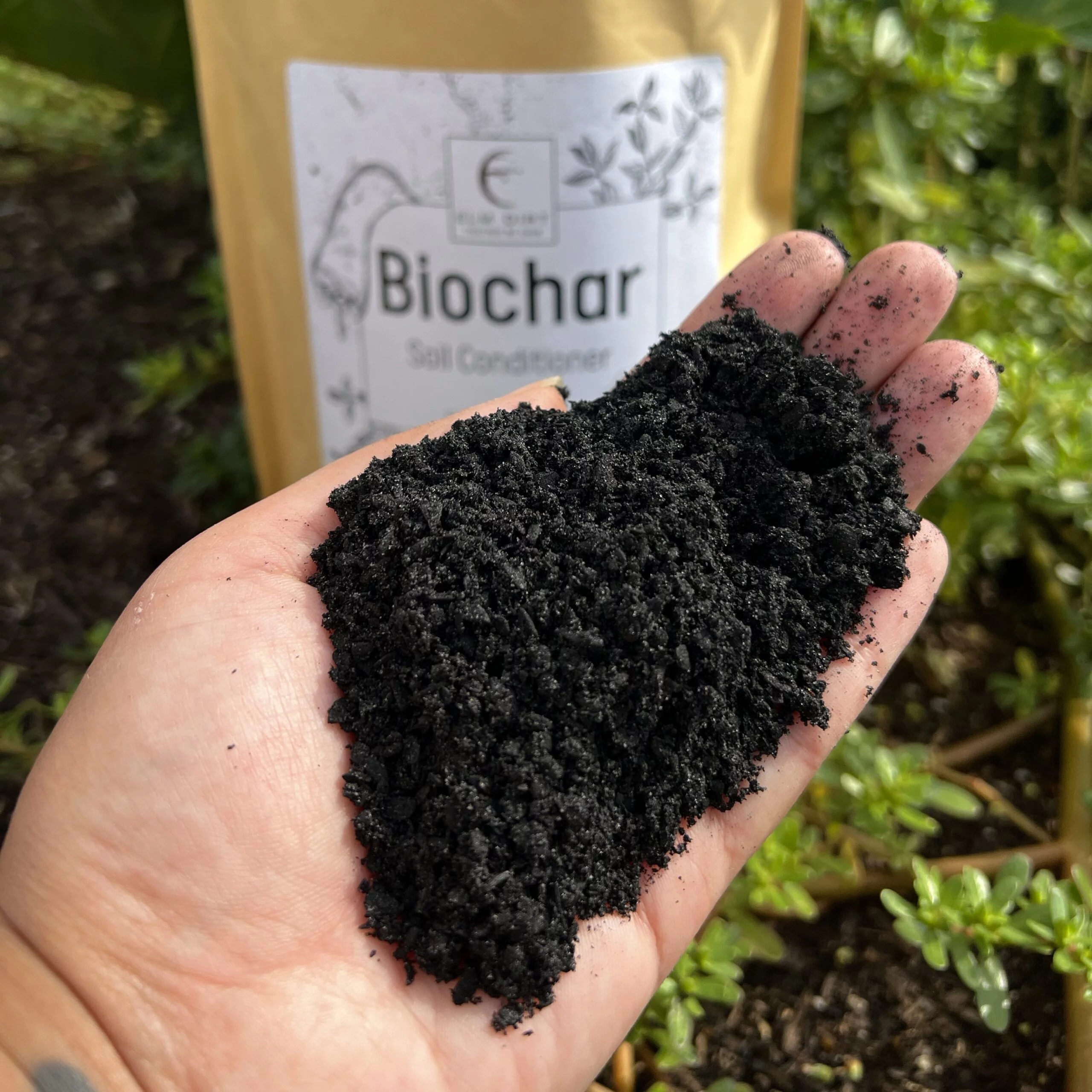 Biochar