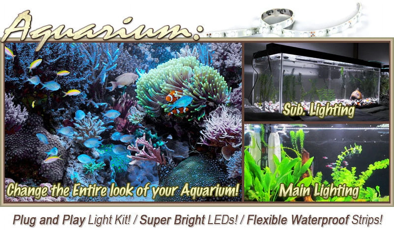Biltek 32.8' ft Cool White Aquarium Tank Coral White LED Backlight Night Light On/Off Switch Control Kit - Main Lighting Fresh Water Salt Water Tanks Water Resistant 3528 SMD Flexible DIY 110V-220V