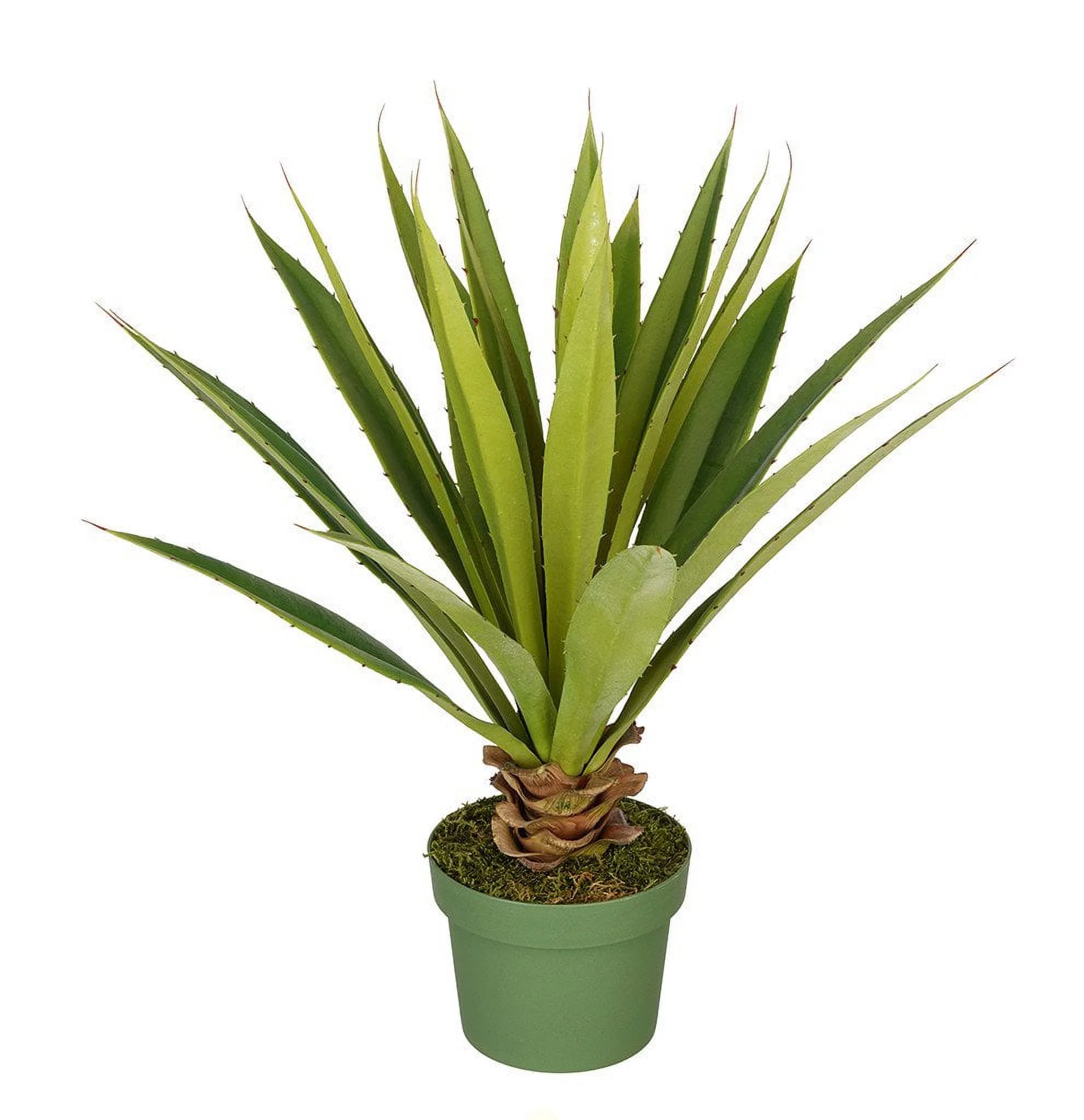 House of Silk Flowers Artificial Spike Yucca Plant (Small)