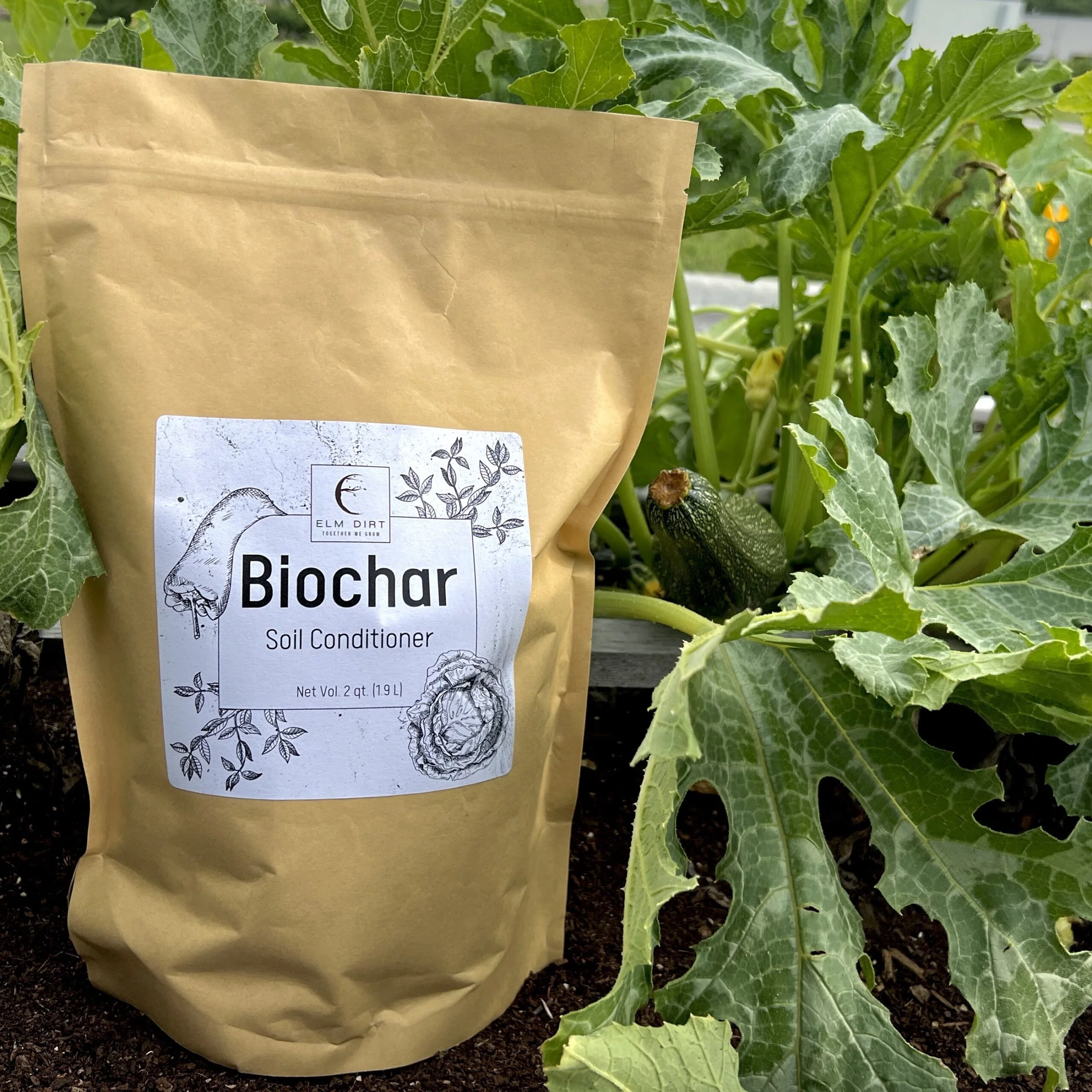 Biochar