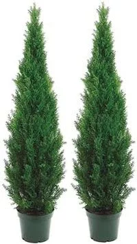 Two 5 Foot Outdoor Artificial Cedar Topiary Trees Potted Plants Two Peace Construction