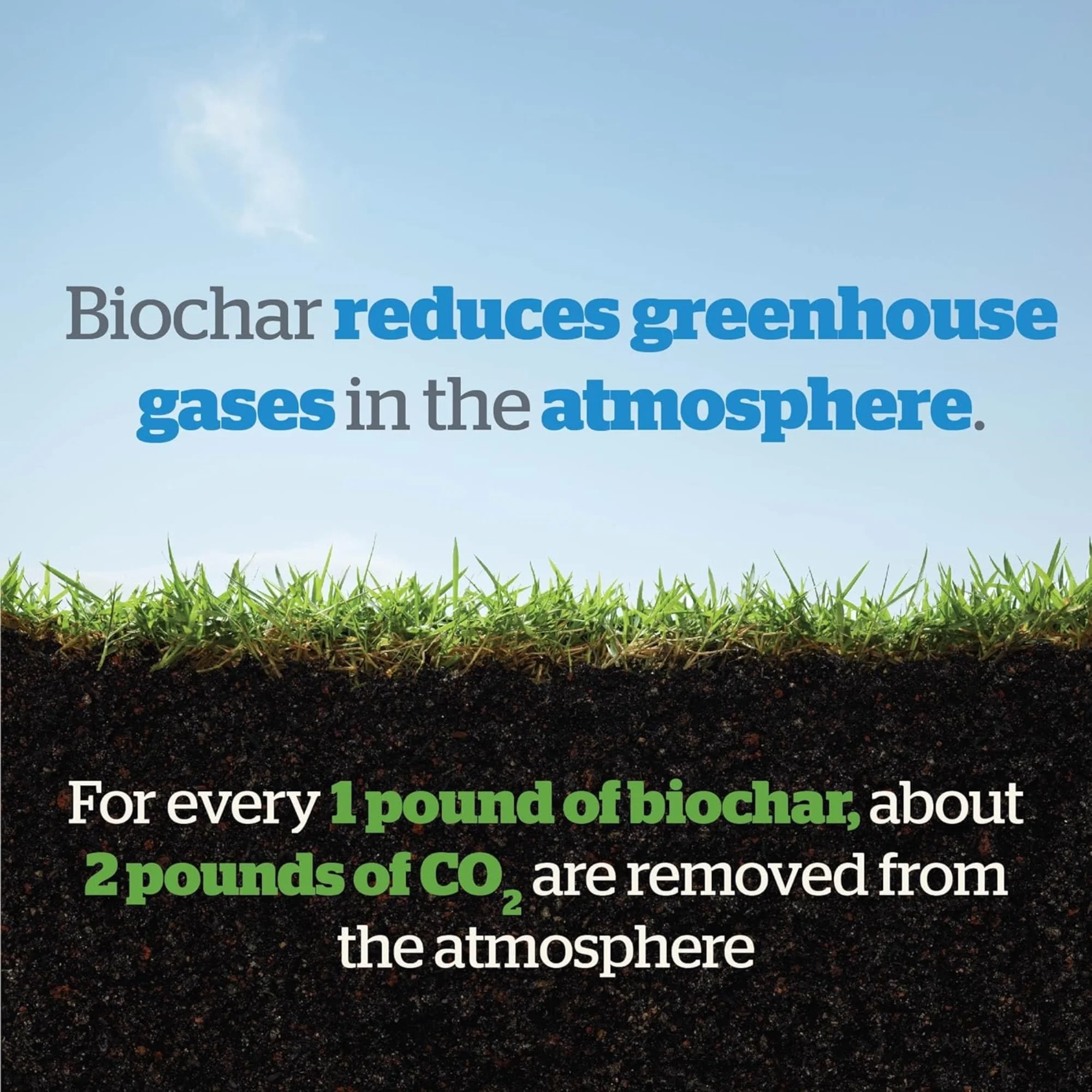 Wakefield Biochar Soil Conditioner - 1.5 Quarts