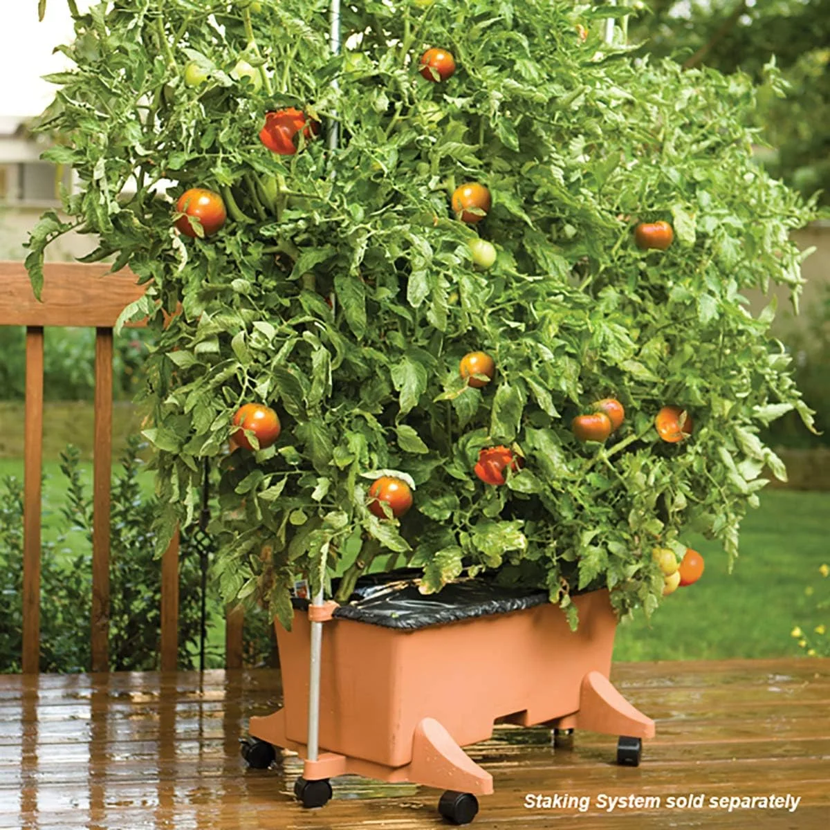 80155 Garden Kit, Organic, Terracotta